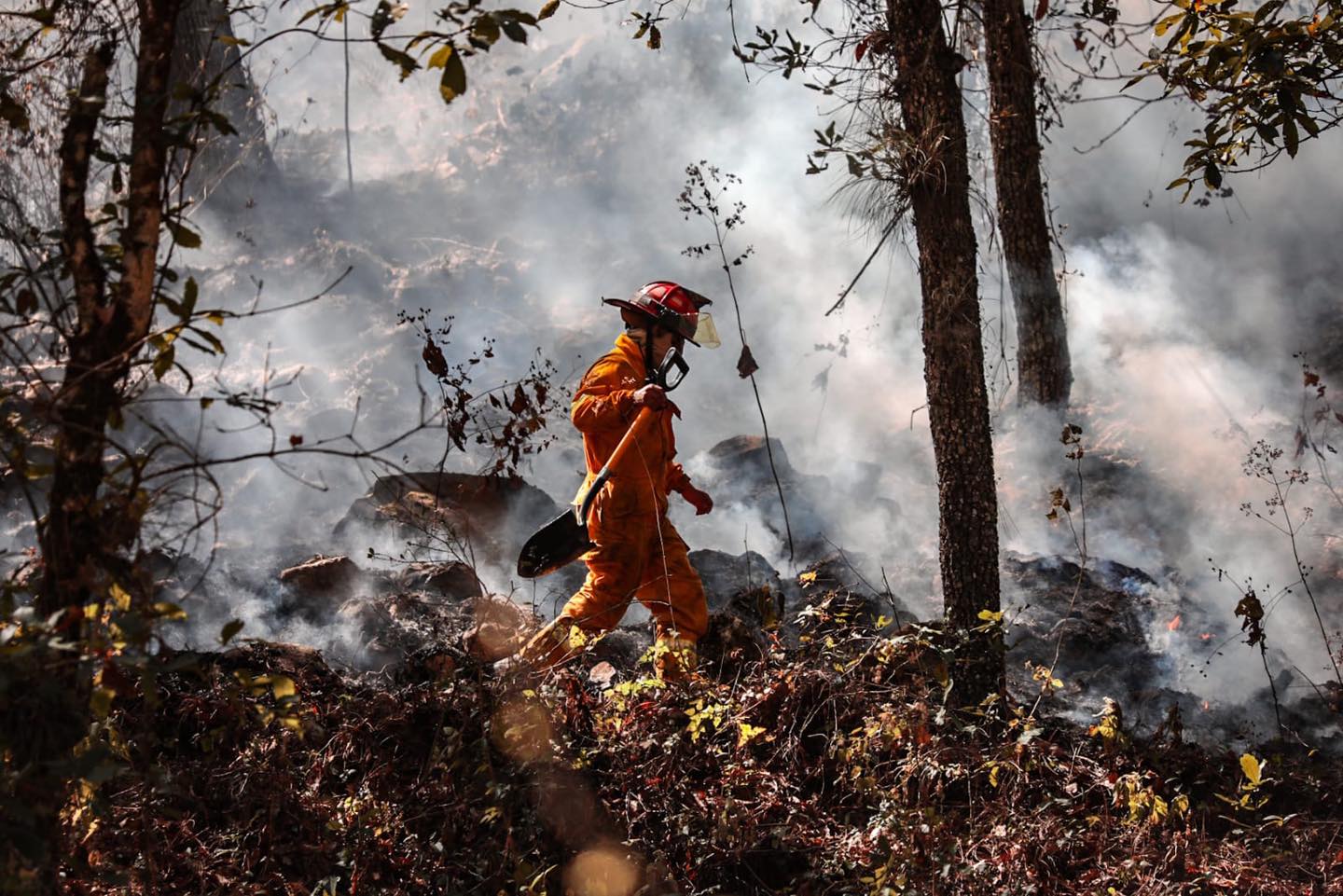 Hasta el 11 de mayo, en Oaxaca se han registrado 110 incendios forestales (Foto: Conafor)
