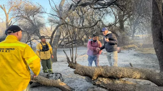 Los incendios en Cafayate ya arrasaron m&aacute;s 200 hect&aacute;reas y la Justicia de Salta busca a los responsables