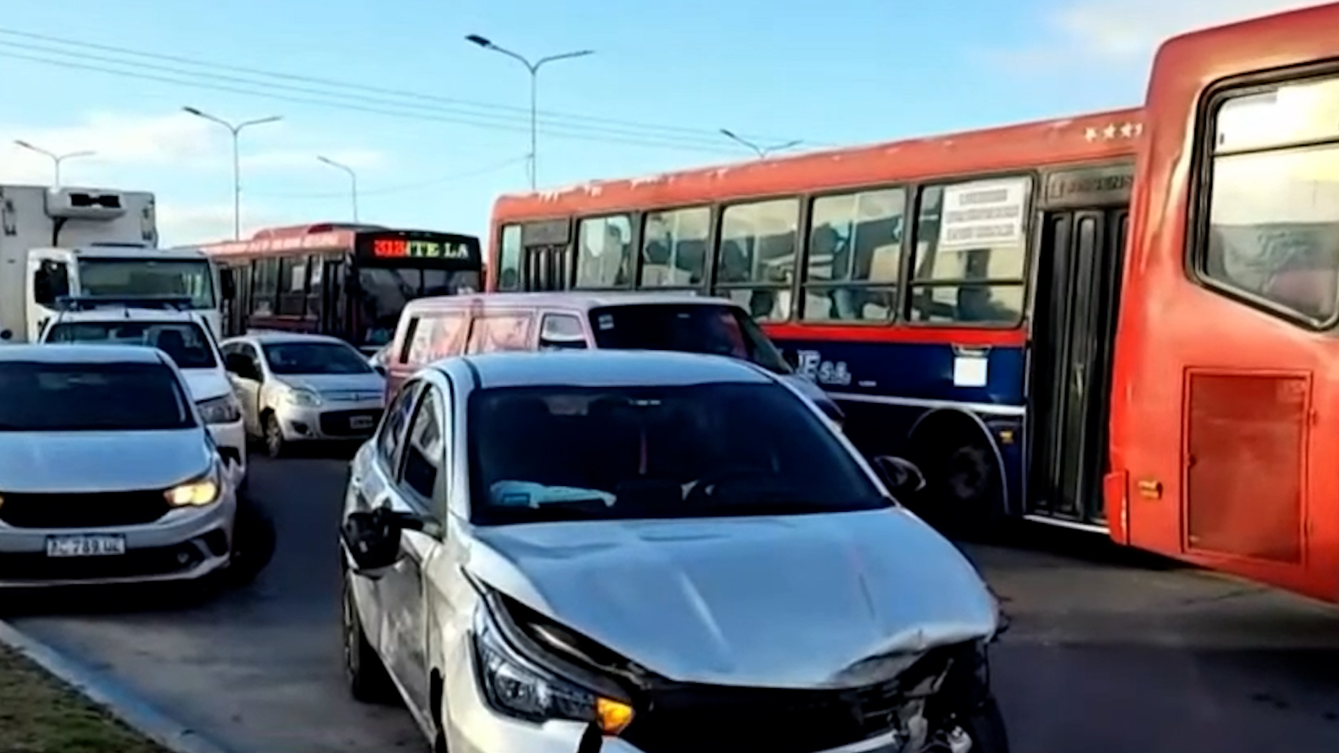 Propusieron prohibir por ordenanza la plantación de plátanos en La Plata
