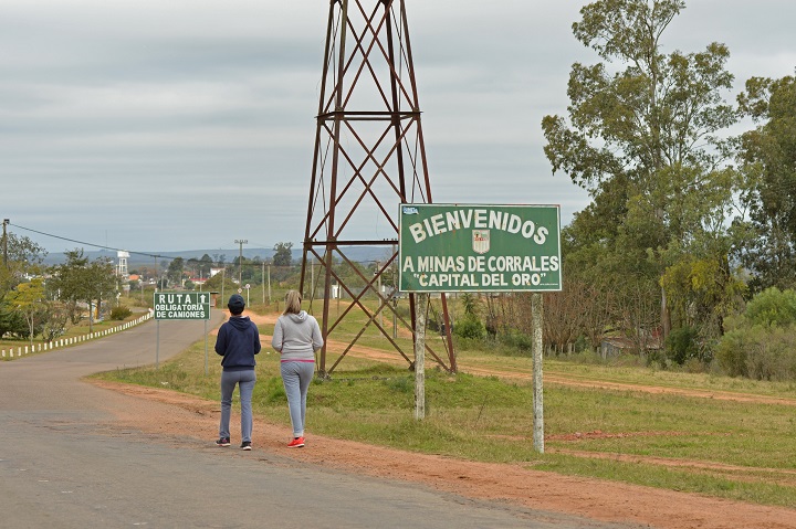 Rescataron más de 40 animales silvestres cautivos en casas particulares en Córdoba