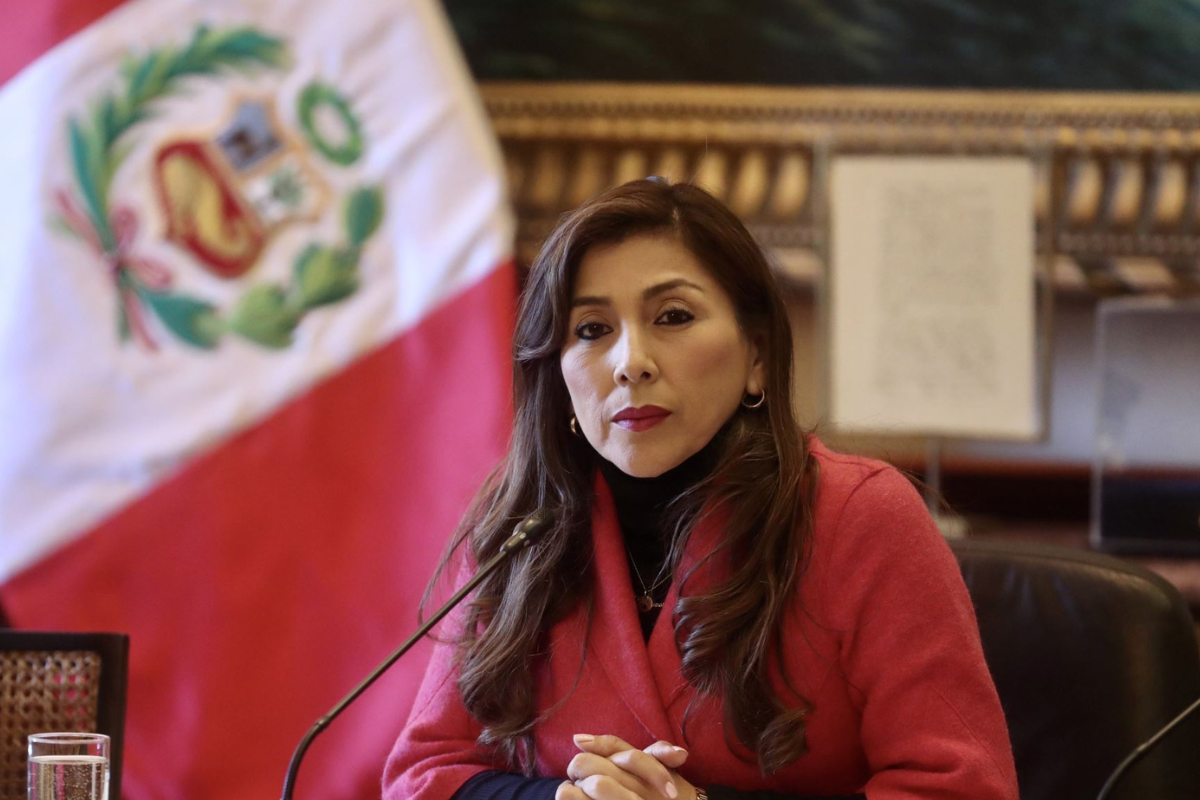 Lady Camones indicó que le han explicado a la OEA que la denuncia constitucional contra Castillo pasará por tres instancias. (Andina)