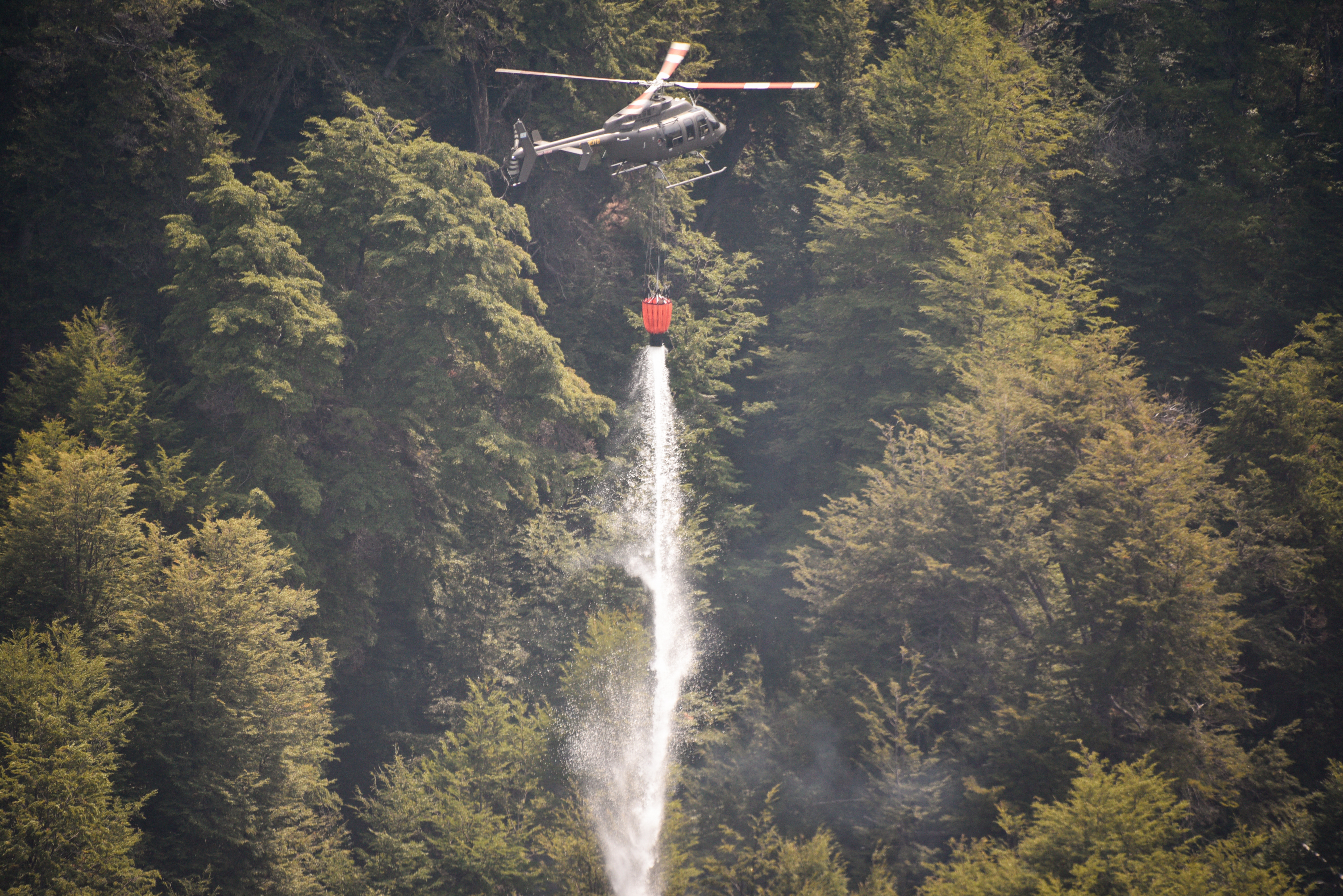 La maniobra de un estafador para engañar a un repartidor y quedarse con potes de dulce de leche valuados en $4 millones