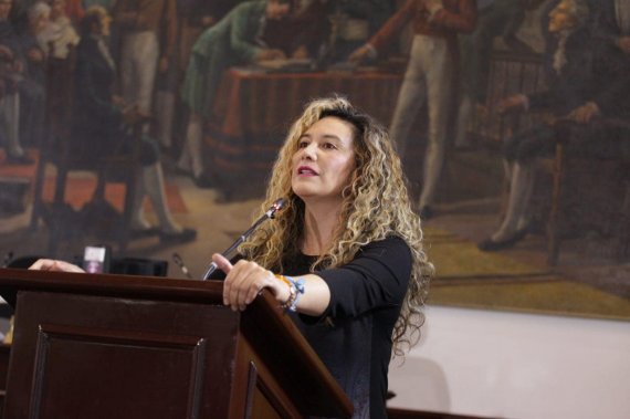 The councilor of the Green Alliance, Lucía Bastidas, drew attention to the violation of the human rights of those deprived of liberty in Bogotá.  (Council of Bogota)