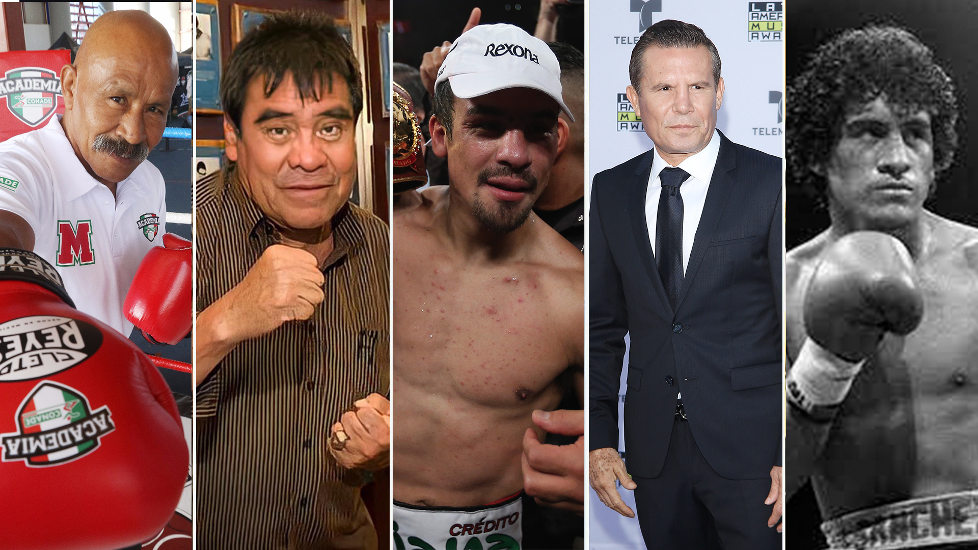 "Lupe" Painter, "spikes" Olivares, Julio César Chávez and Salvador Sánchez are, for Juan Manuel Márquez, some of the best Mexican boxers in history (Photos: Government of Mexico-Facebook/¡puro box¡/Izquierdaso Boxeo-Gettyimages)