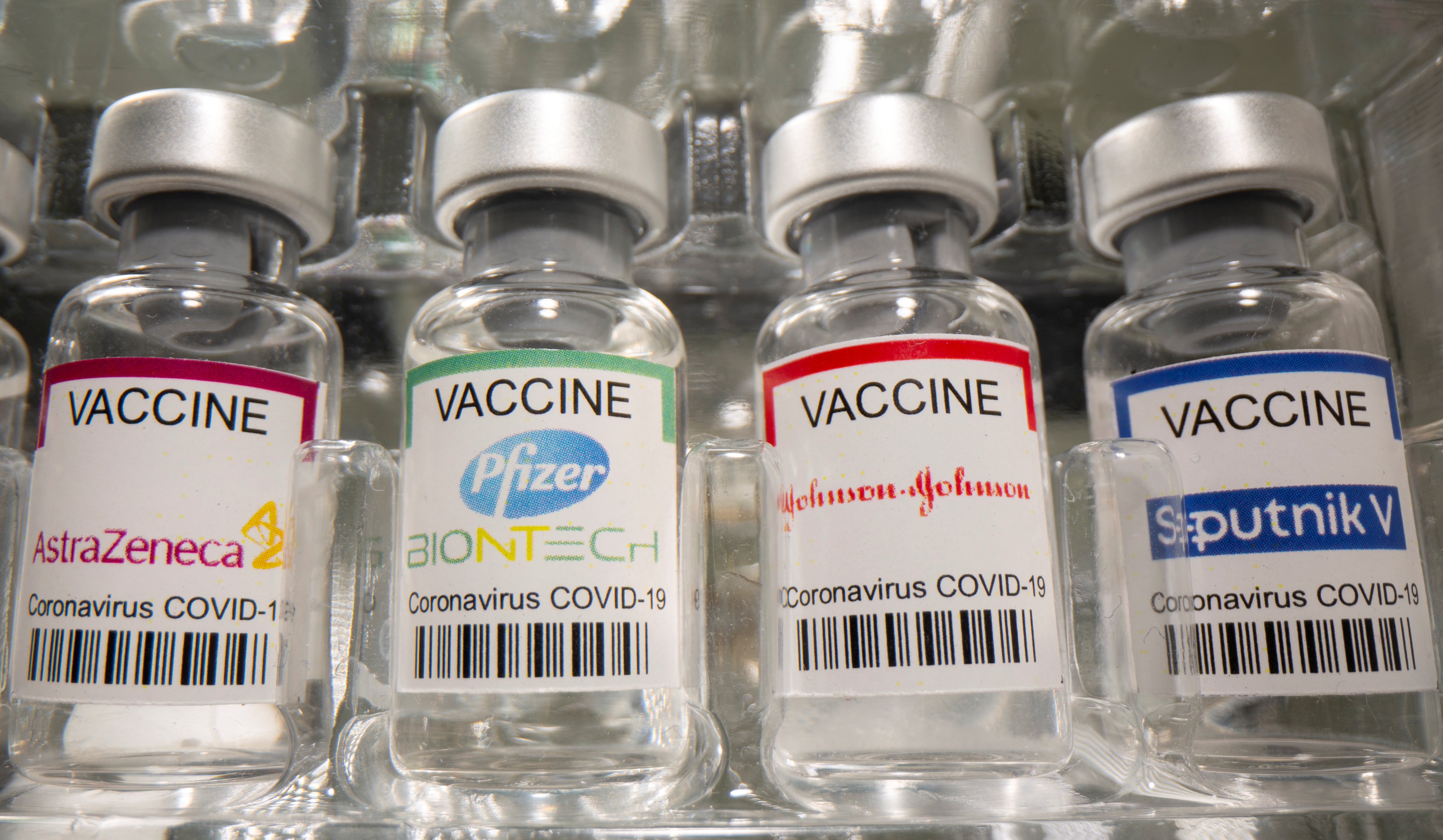EEUU pide que la distribución mundial de la vacuna contra el covid-19 sea a precio de coste (REUTERS/Dado Ruvic/Illustration)
