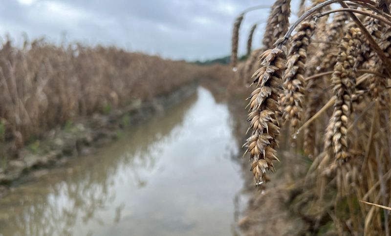 Llega la Noche de las Disquerías, con descuentos y lanzamientos exclusivos   