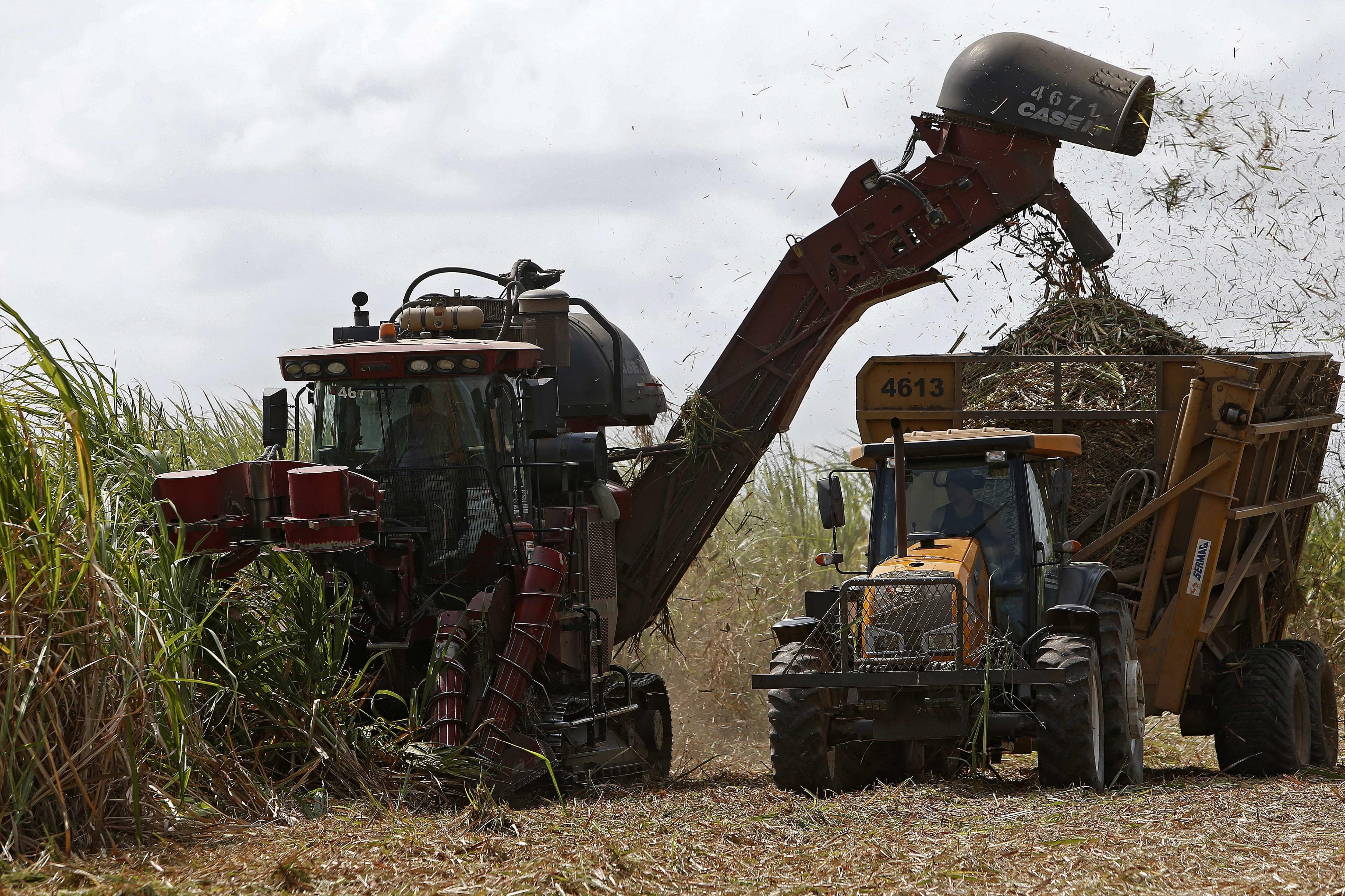 Maquinaría pesada es utilizada en la cosecha de caña de azúcar de la Cooperativa Agroindustrial del Estado de Río de Janeiro (Coagro) en Campos dos Goytacazes (Brasil). EFE/Marcelo Sayão/Archivo
