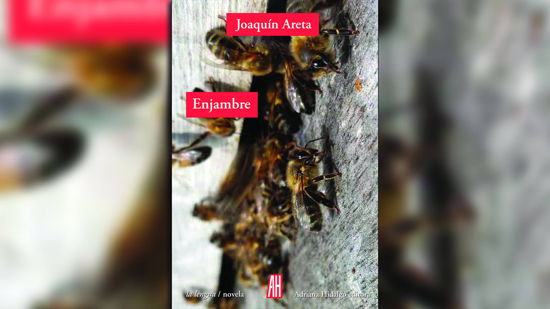 "Enjambre" (Adriana Hidalgo), de Joaquín Areta 