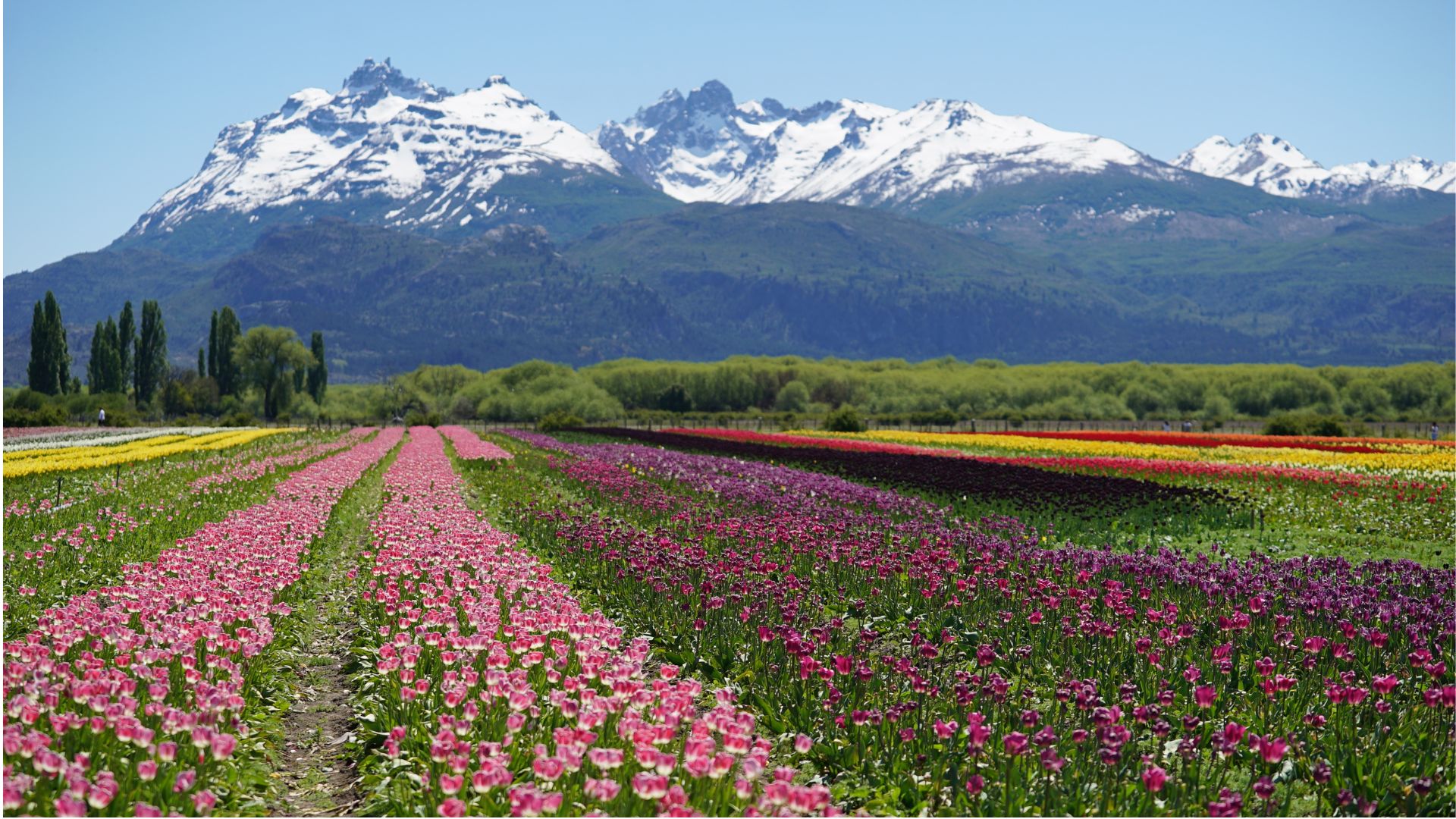 Bellezas Naturales Y Sitios Históricos Todos Los Atractivos De La Región Andina De Chubut Infobae