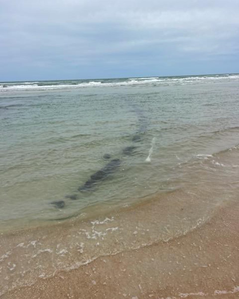 Naufragio desenterrado en Daytona Beach: tamaño triplica estimaciones previas. Volusia County Beaches