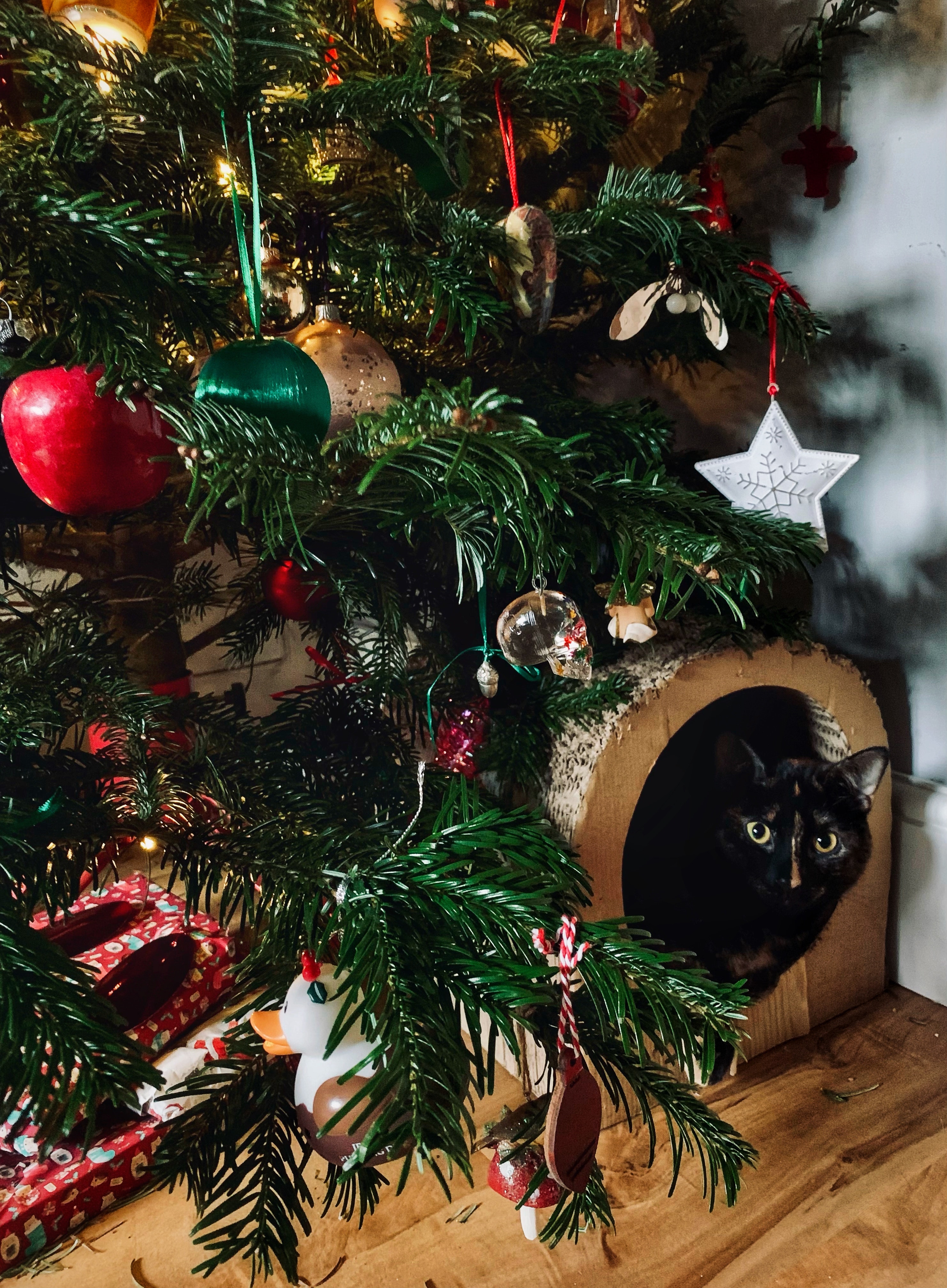 El árbol de Navidad será, la mayoría de las veces, un gran parque de atracciones para los gatos, pero más allá de lo graciosos que pueden llegar a ser en esas circunstancias, pueden estar en peligro tanto ellos como alguna persona que esté cerca