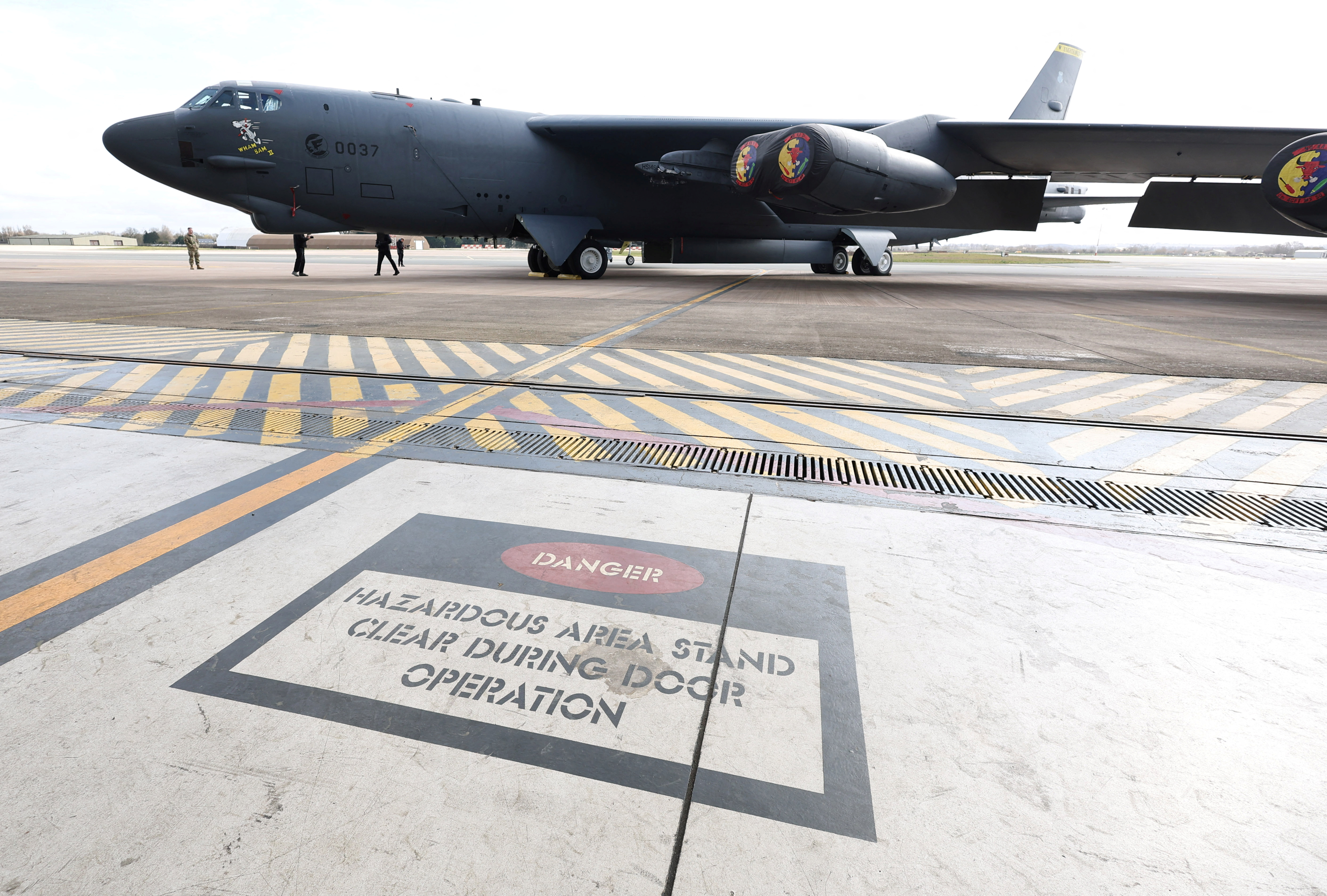 En ochenta años, las aves grandes fueron reemplazadas por especies pequeñas en gran parte de los territorios indígenas 