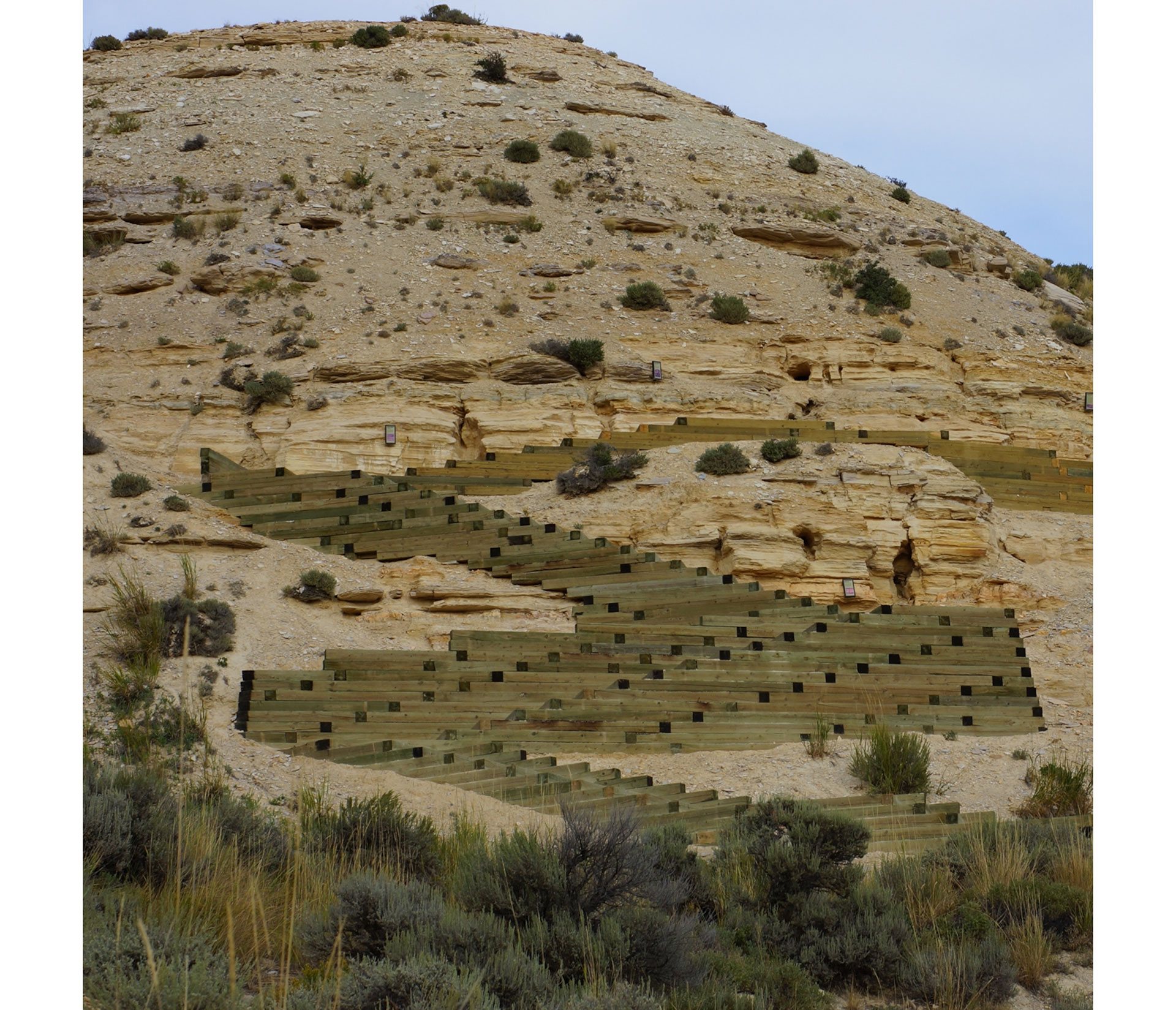 FOTOGRAFÍA DEL SERVICIO DE PARQUES NACIONALES - Unas escaleras conducen a la roca conservada de un antiguo lecho lacustre en el Monumento Nacional Fossil Butte de Wyoming. Los fósiles de murciélago recientemente descritos se encontraron a las afueras del parque, en terrenos privados.
