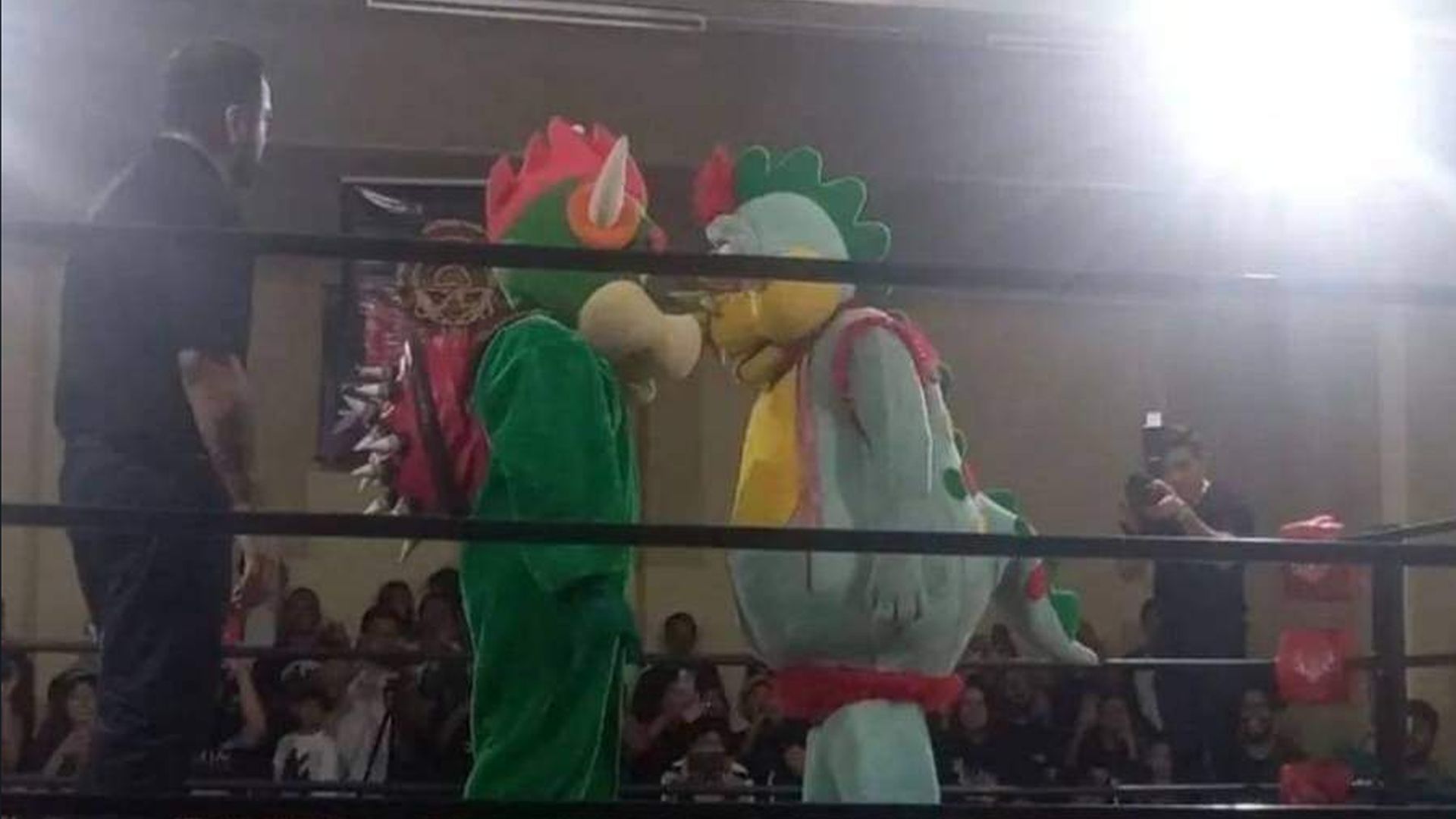 La pelea del siglo: Timoteo y Bowser, de Mario Bros, se enfrentan en épica batalla de lucha libre