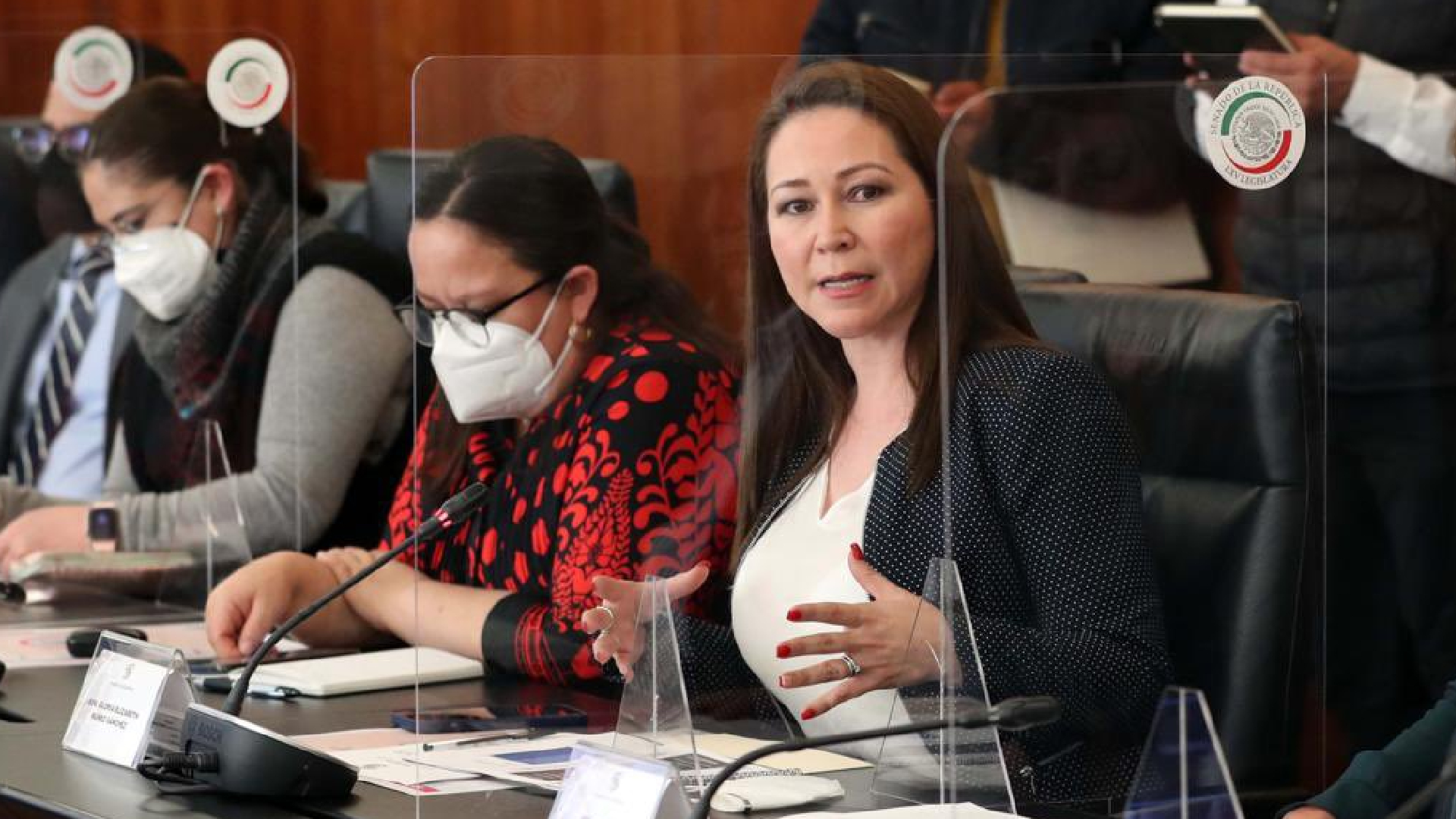 El PAN se debilitó: Gloria Núñez, tras abandonar al albiazul, se sumó a Movimiento Ciudadano en el Senado
