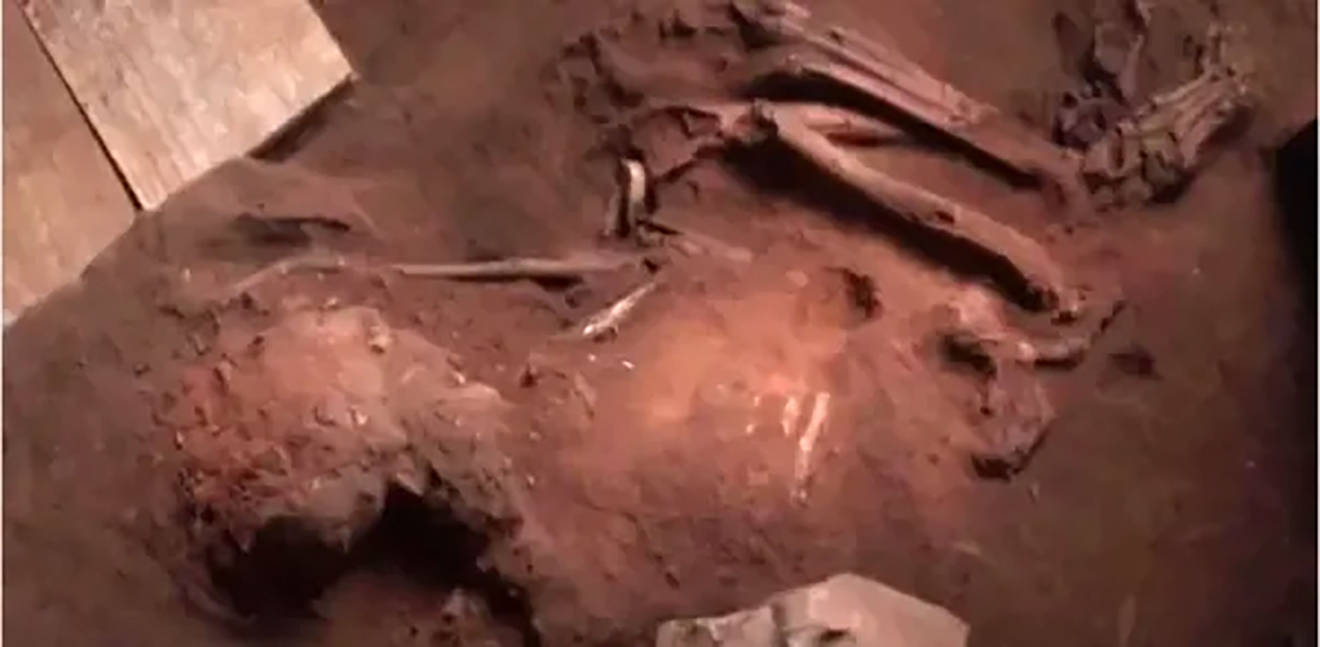 Lo hallado por los arqueólogos brasileños se trata de un esqueleto casi completo, descubierto a 2 metros de profundidad