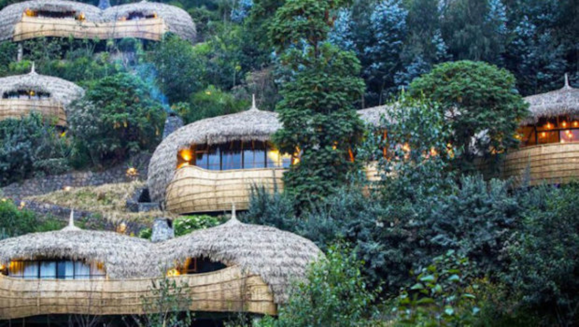 7 hoteles de lujo para dormir en la copa de los árboles - Infobae
