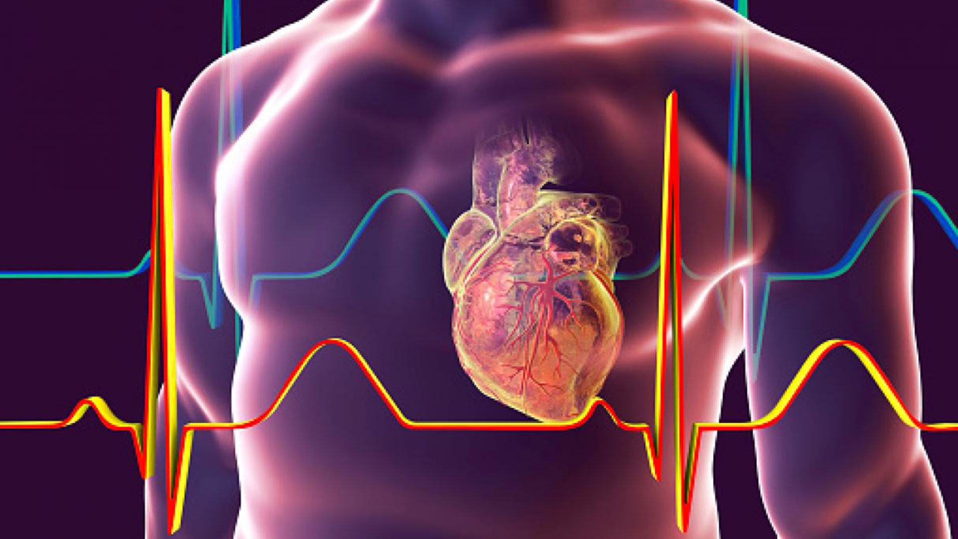 Pacientes hospitalizados sugieren que el COVID-19 afecta de manera objetiva el sistema cardiovascular