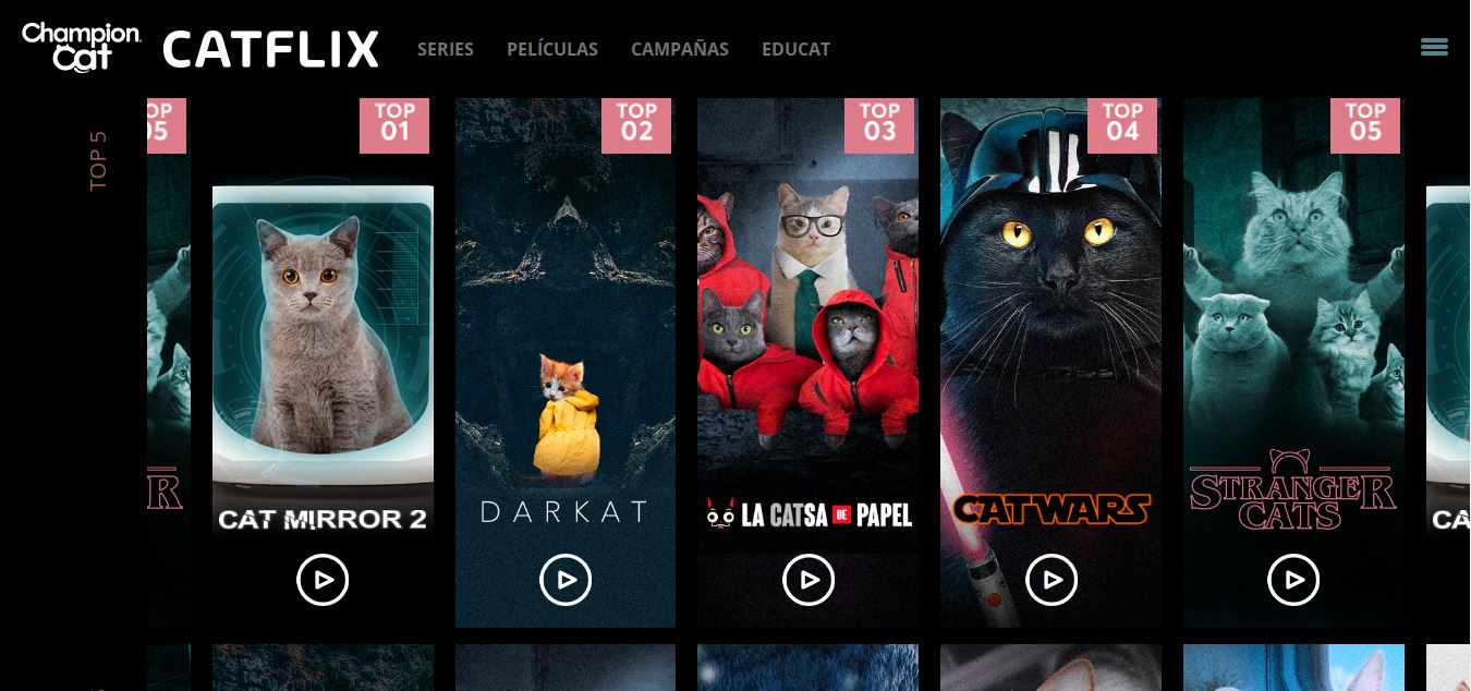 Siete páginas y aplicaciones para fanáticos de los gatos: videos, y - Infobae