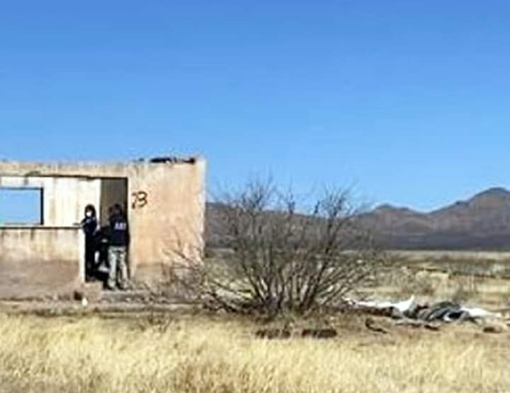 (foto: QFChihuahua/Facebook)