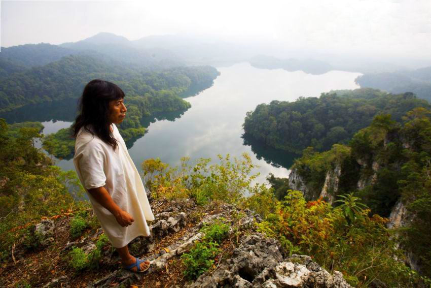 La Selva Lacandona es el principal pulmón de México (Foto: especial)