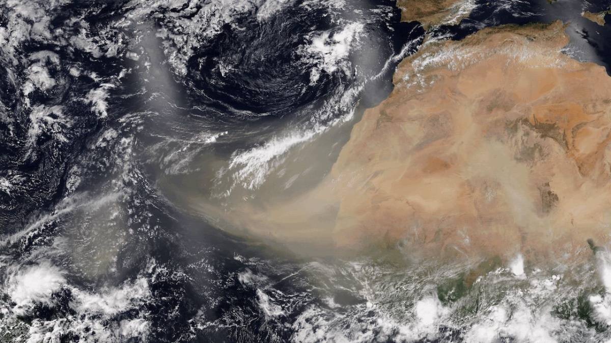 Polvo del Sahara se dirige al sur de Florida: cuándo llegará y qué impacto tendrá