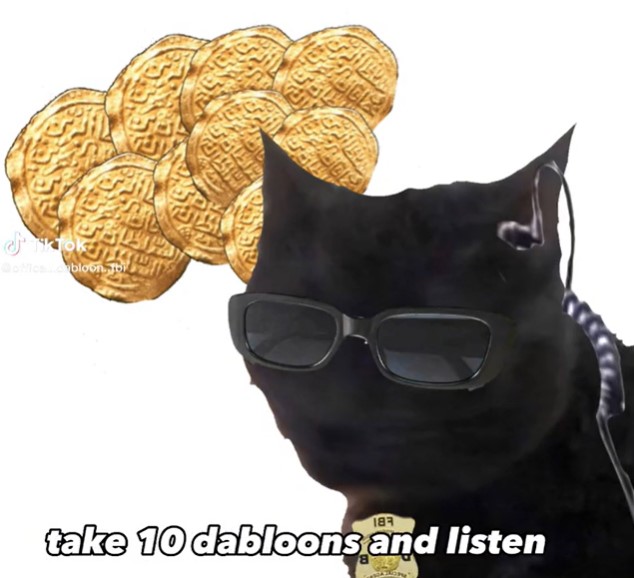 Todo comenzó con un meme de gato negro en la comunidad de habla inglesa (Twitter/@Fvntxy_)