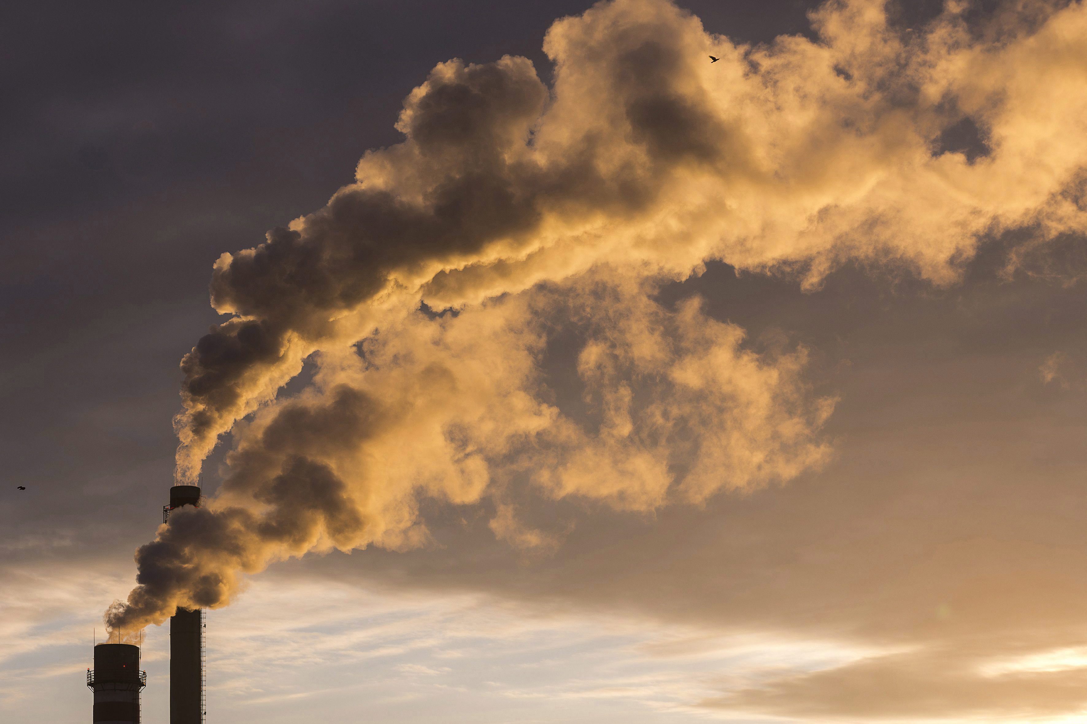 "Como resultado de la reducción de viajes, la menor actividad industrial y la menor generación eléctrica este año debido a la pandemia, se prevé que las emisiones de dióxido de carbono caerán hasta un 7 % en 2020", indicó en un informe el Programa de las Naciones Unidas para el Medio Ambiente (PNUMA). EFE/Attila Balazs/Archivo
