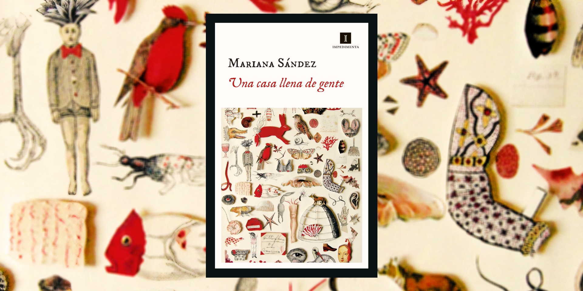 Libros, enigmas y un refugio para ocultarse: “Una casa llena de gente”, de Mariana Sández, ha sido reeditada en España