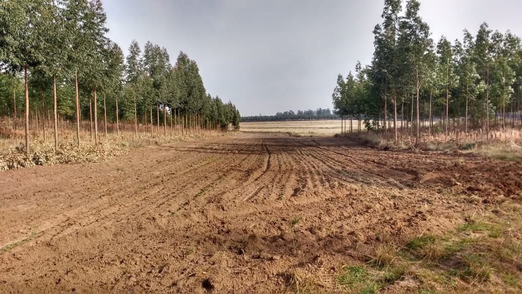 Golpe en un taller clandestino de La Plata que funcionaba como desarmadero de motos