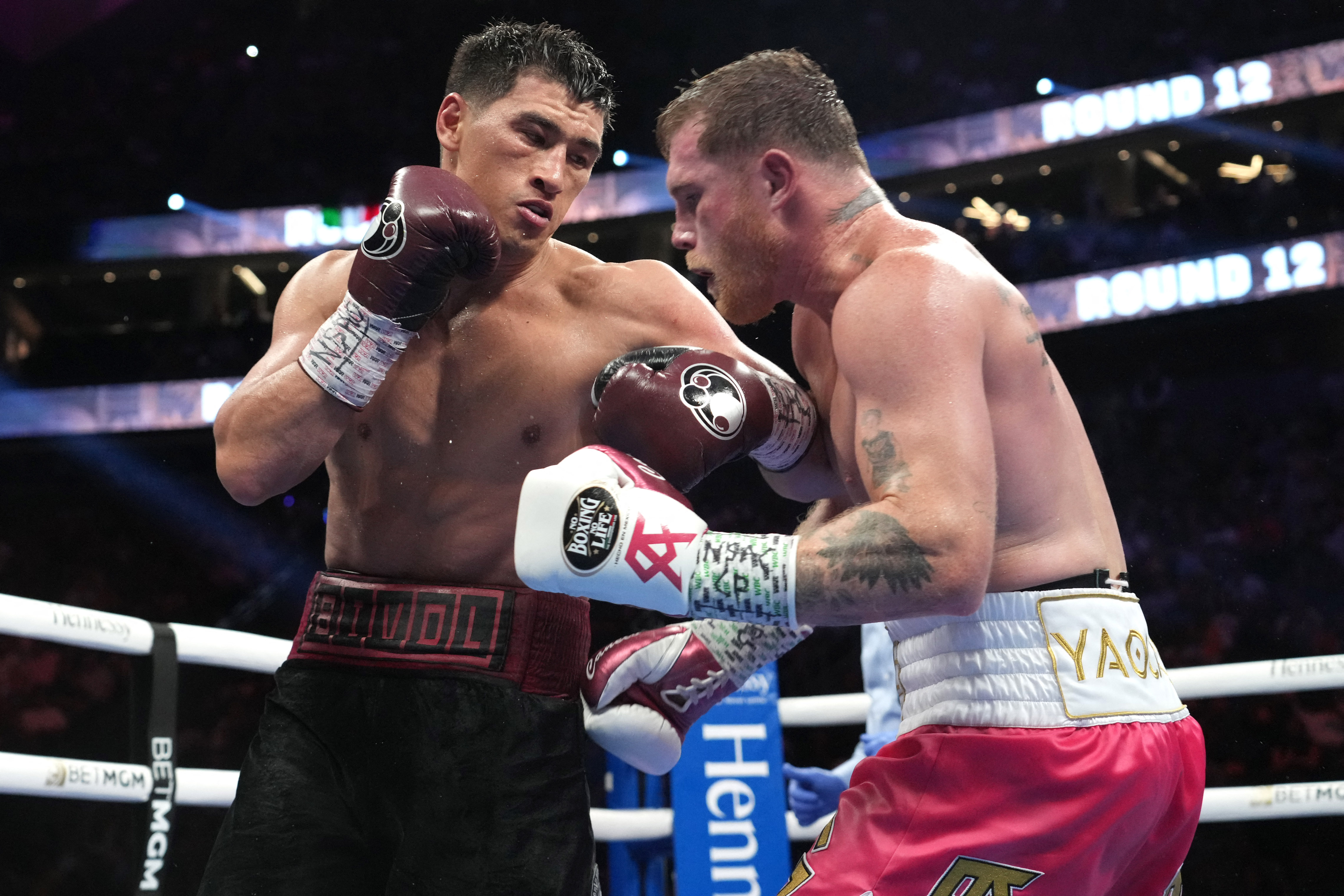 Canelo and Bivol could face each other again at 168 pounds (Photo: Joe Camporeale-USA TODAY Sports)