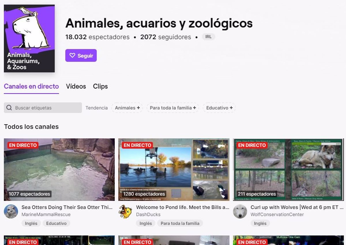 Sección Animales, Acuarios y Zoológicos en Twitch. (foto: Notimérica)
