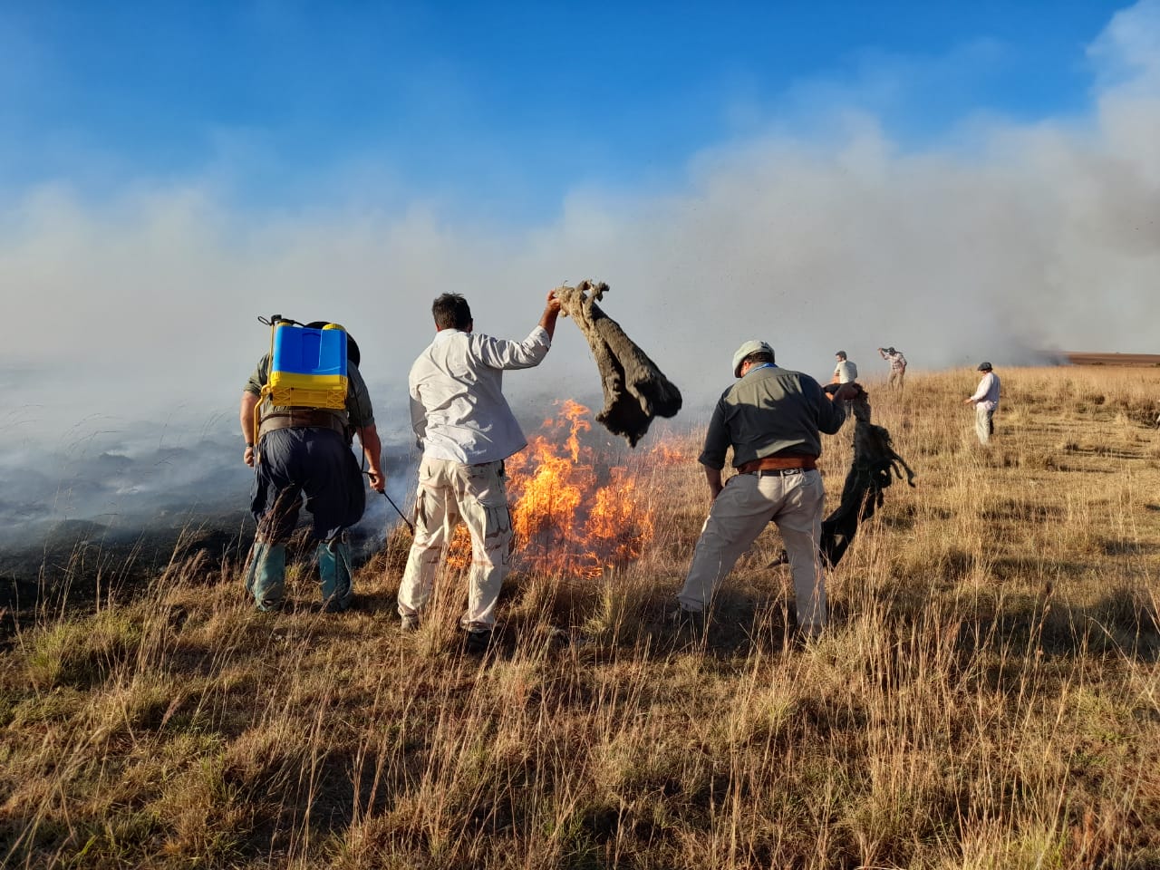 El drama de los productores de Corrientes enfrentando los incendios
