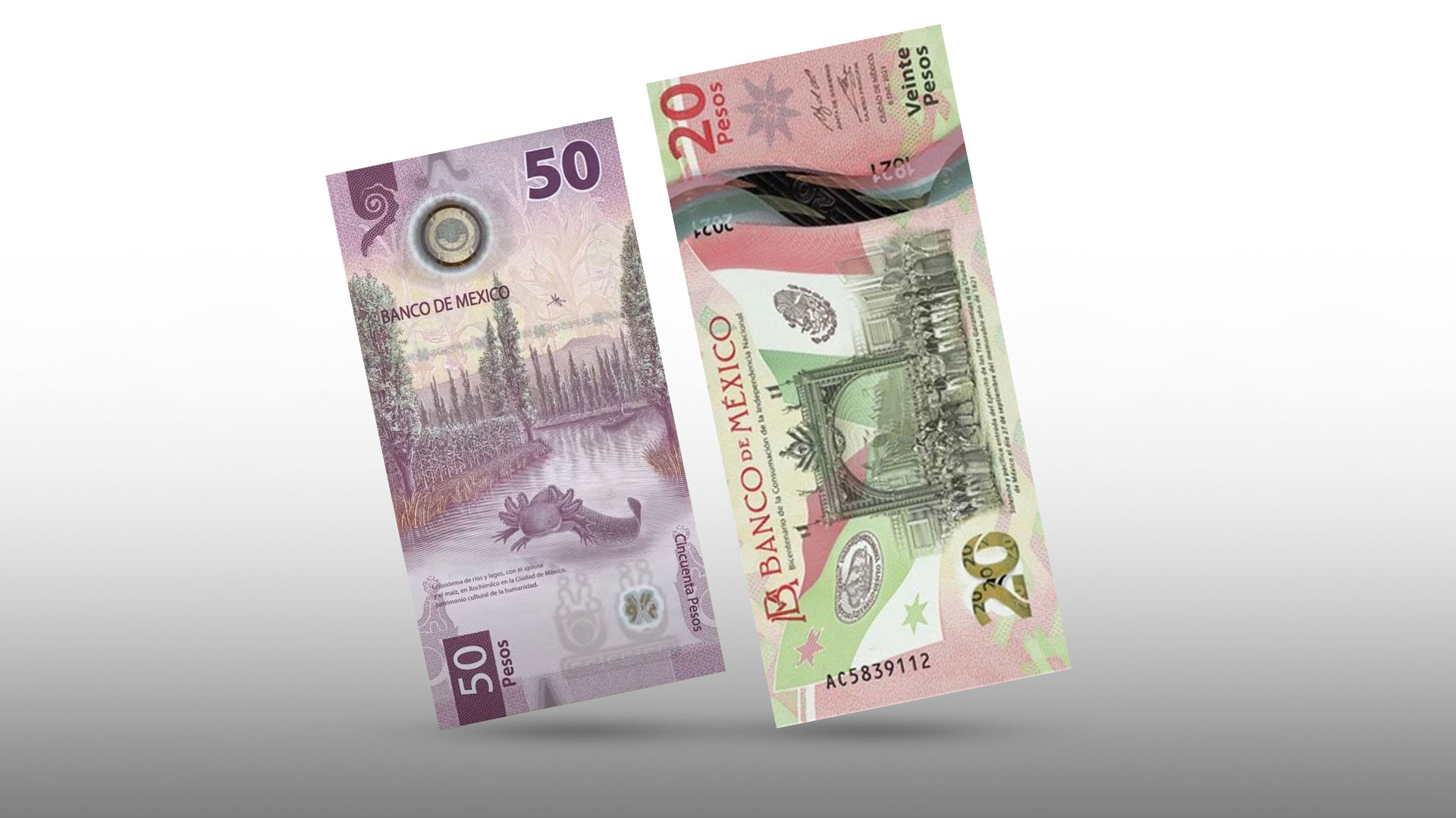 Dos billetes de la familia G a precios exorbitantes: uno de ellos supera los 200 mil pesos