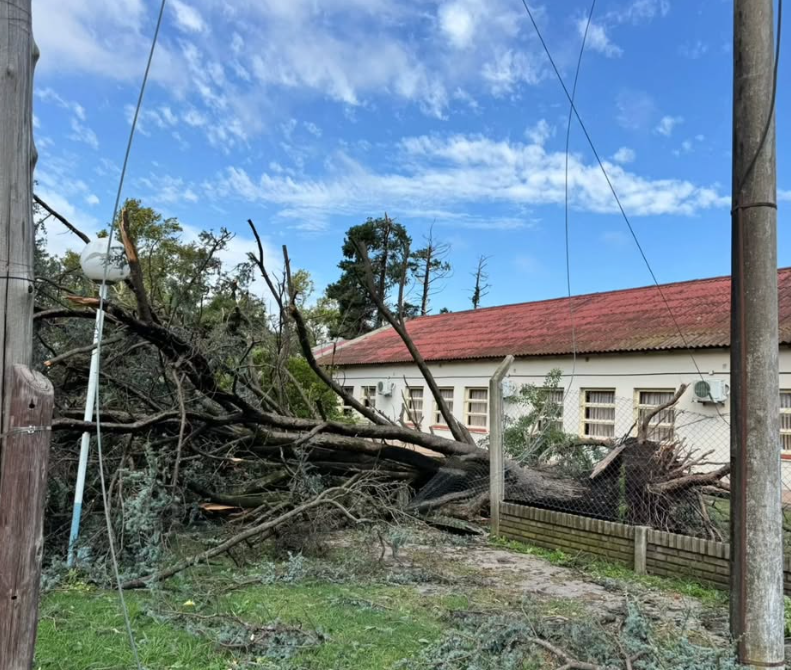 Temporal en Santa Fe: cortes de luz, ca&iacute;da de &aacute;rboles, voladuras de techos, caos en las rutas y graves da&ntilde;os