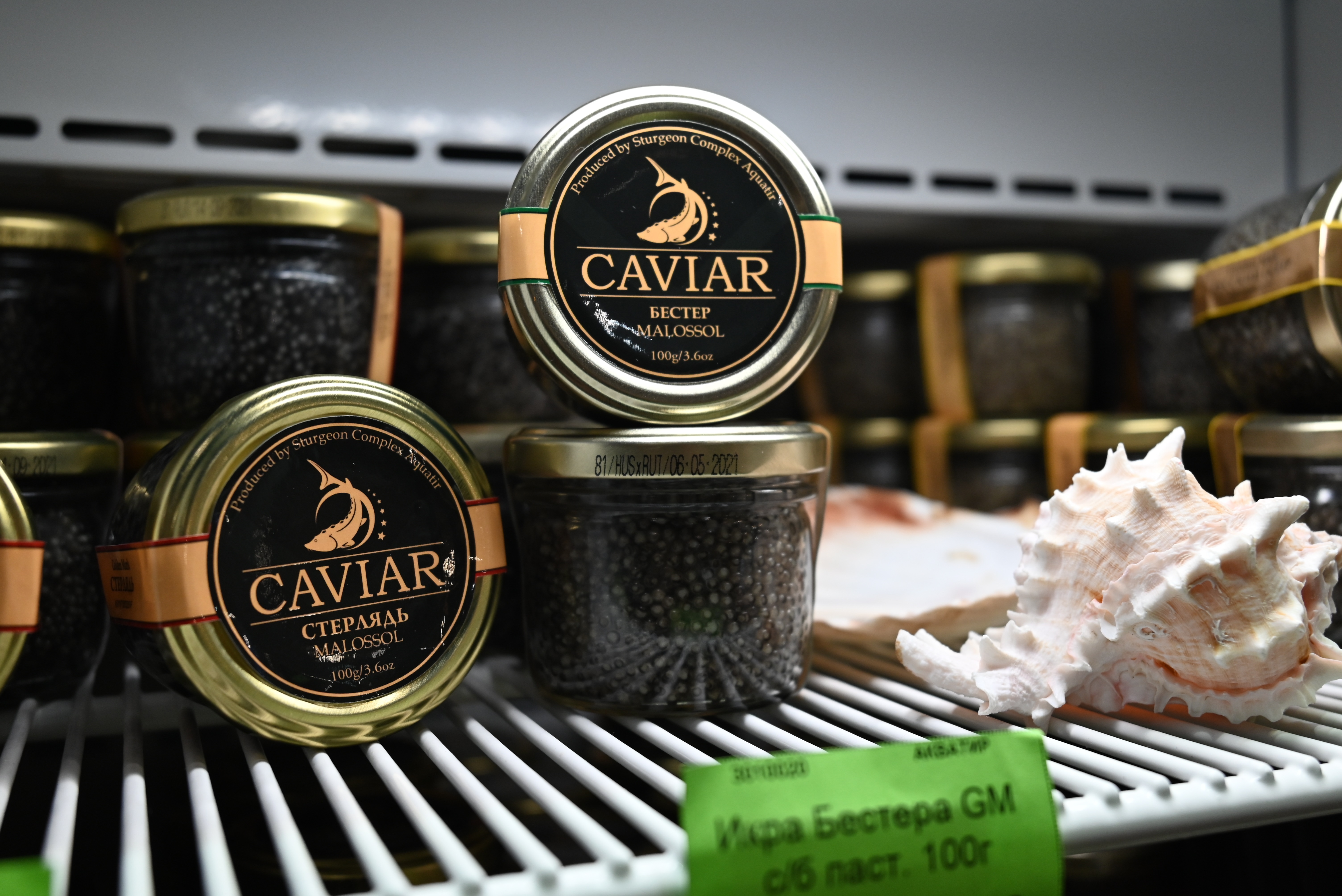 Los esturiones son famosos por sus huevas: el caviar (EFE)