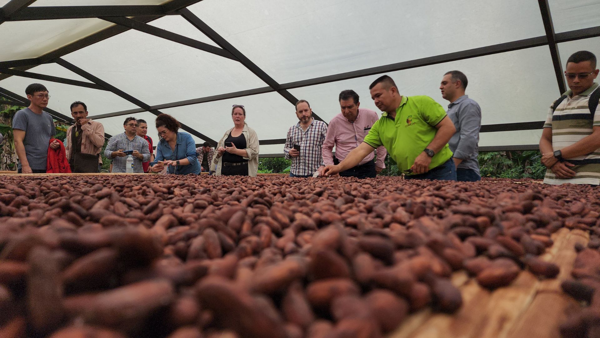 Colombia busca llevar el cacao sostenible a todo el mundo