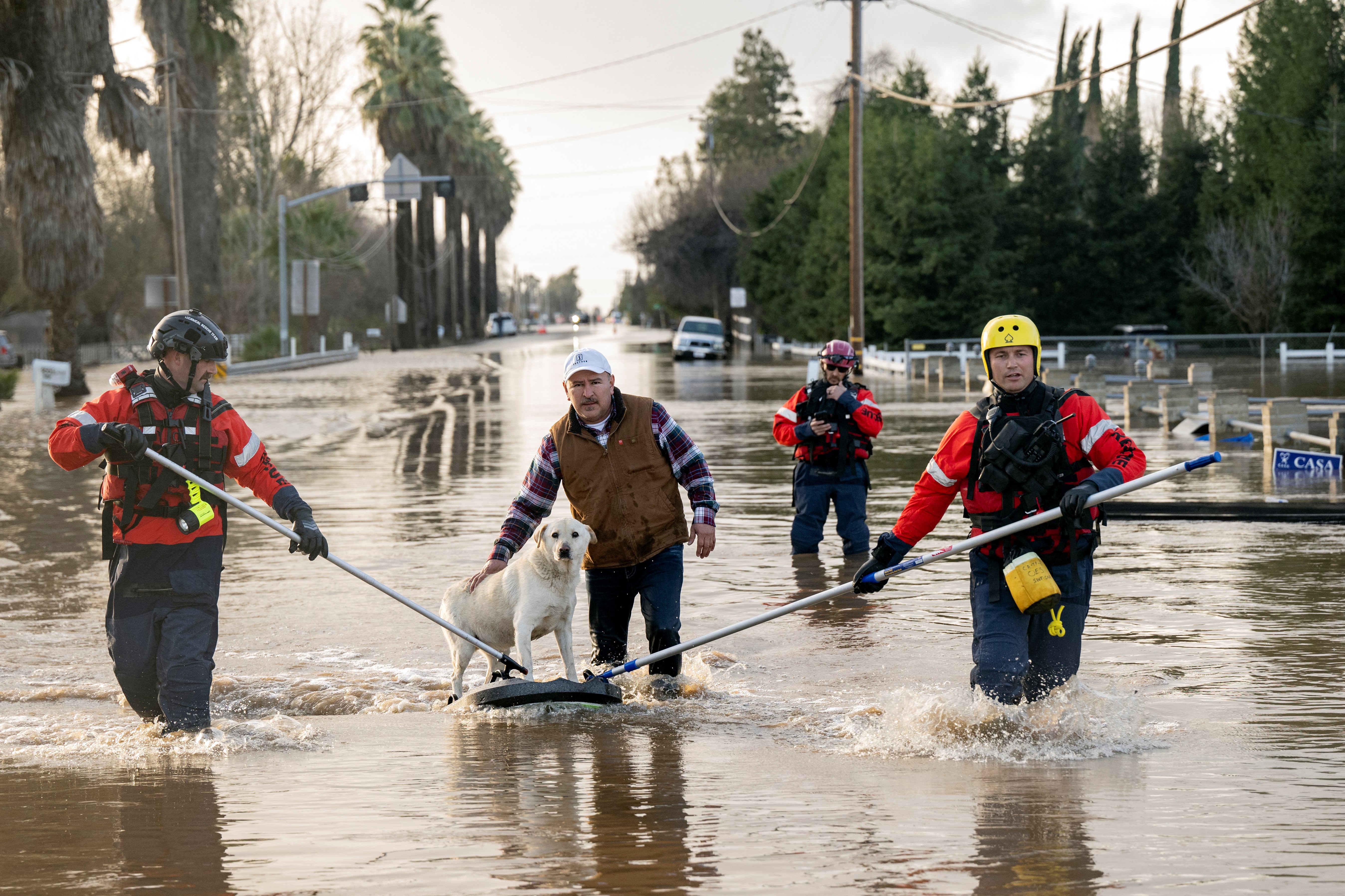 Trabajadores y voluntarios rescatan a un perro de las inundaciones