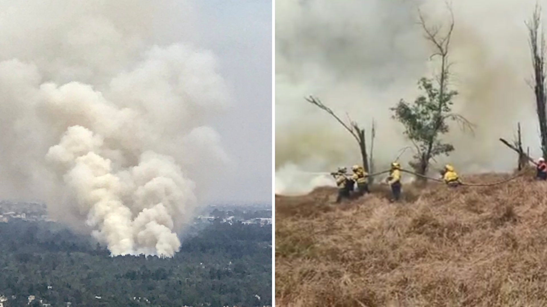 Fuerte incendio en el Parque Ecológico de Xochimilco provocó una gran columna de humo