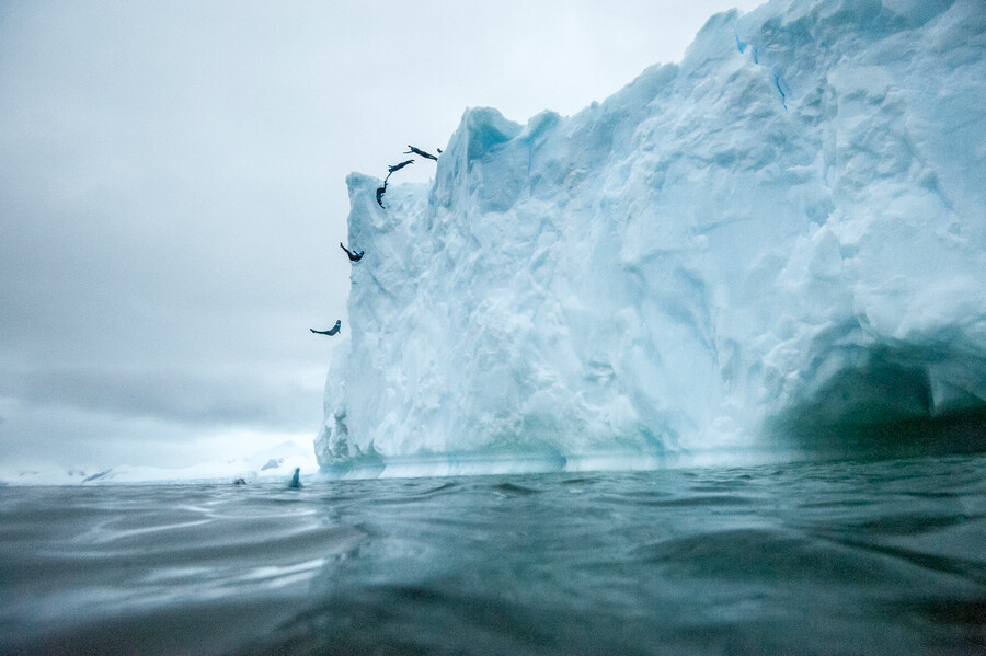 Orlando Duque cumplió su sueño de lanzarse de un iceberg de 20 metros en la Antártida (2018). Foto: Colprensa-Red Bull-Andreas Vigl