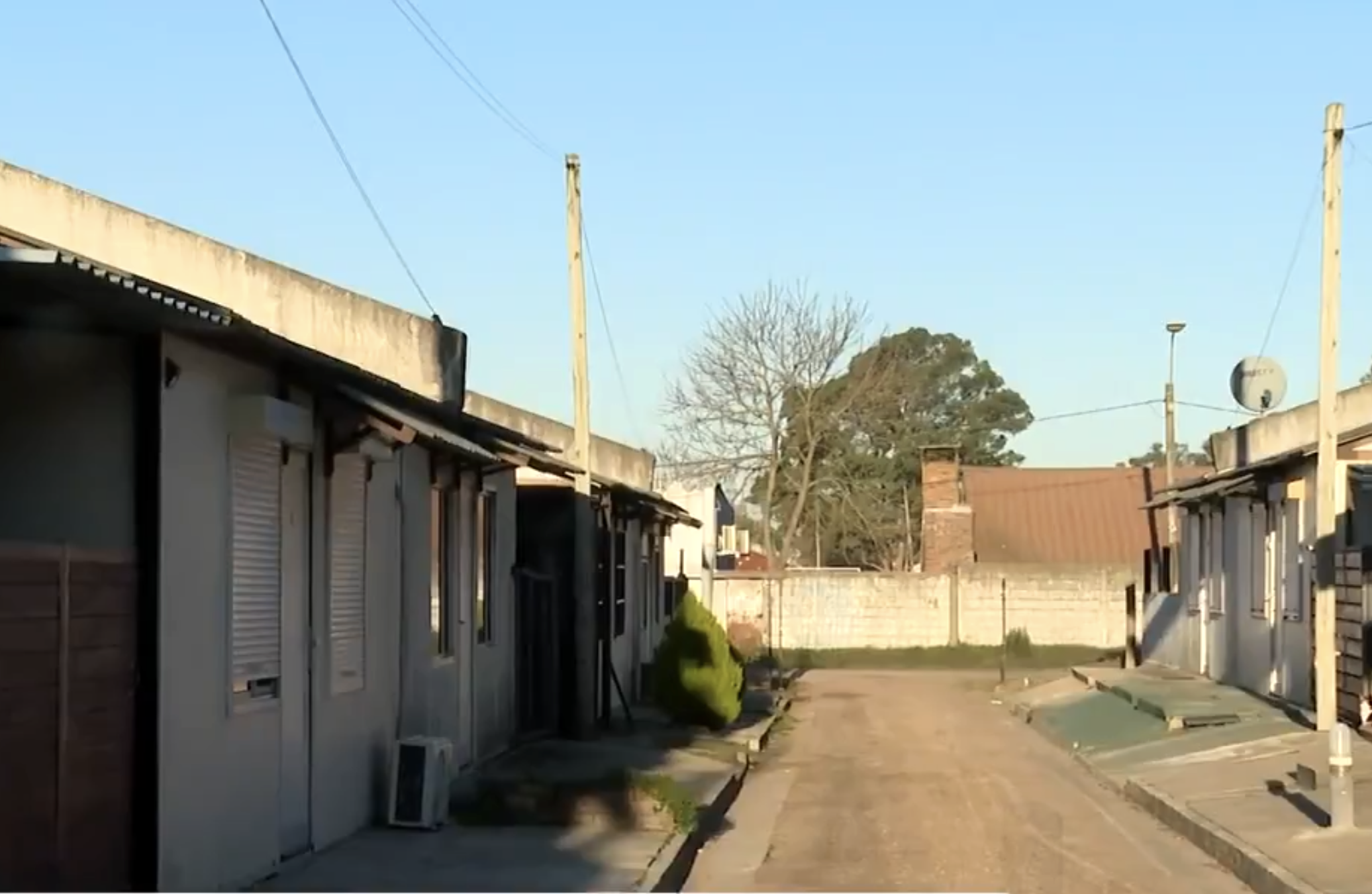 Hombre que mató a golpes al gato de una vecina en Uruguay fue condenado a 14 meses y deberá pagar una multa