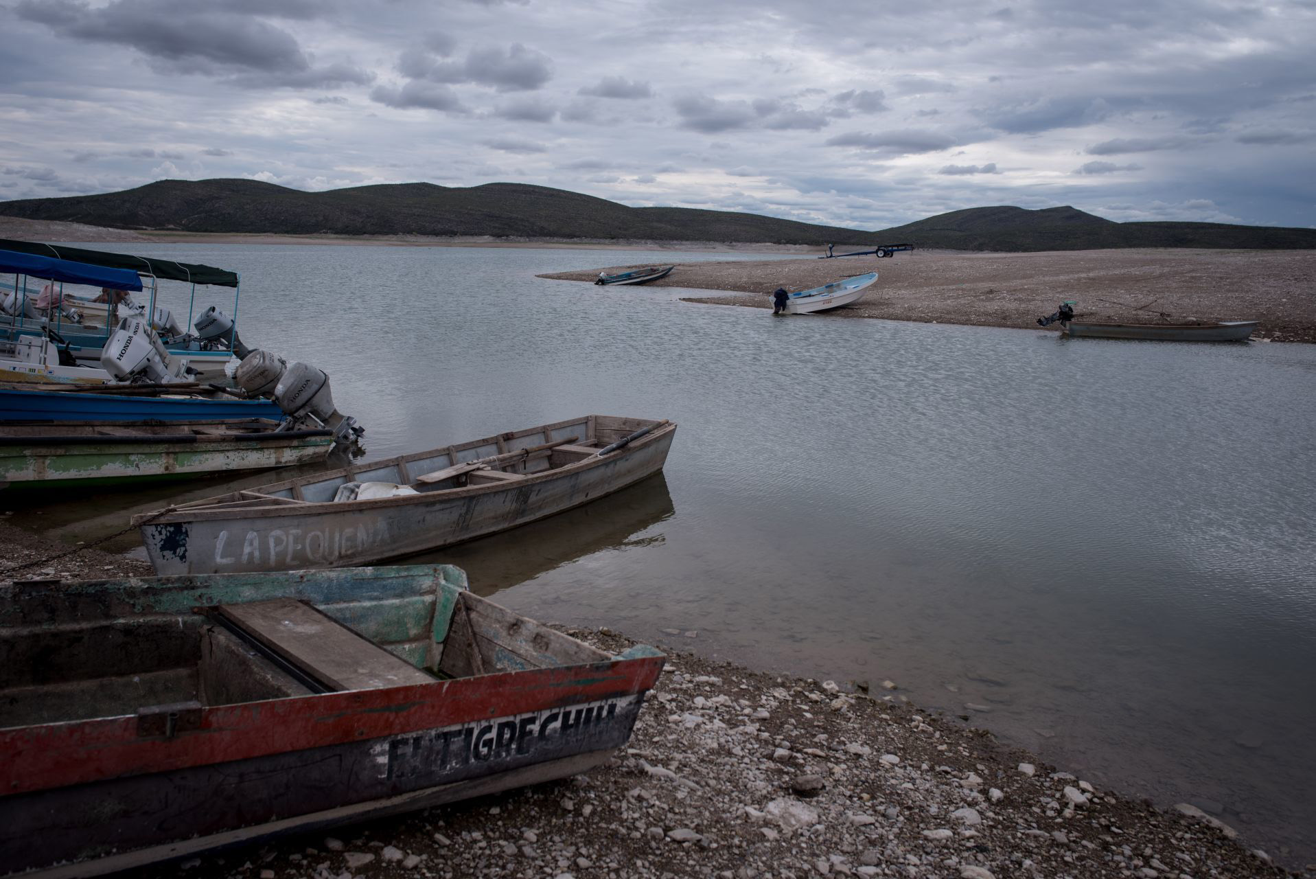 Presa