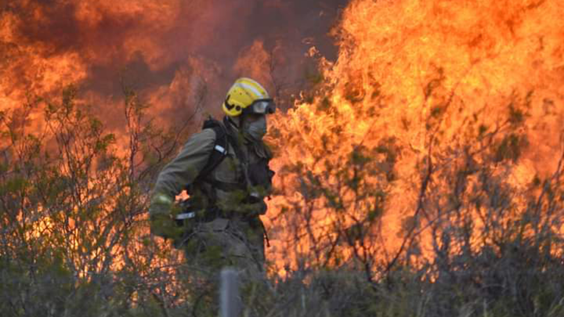 Incendios en Puerto Madryn: hay 77.000 hectáreas quemadas y el fuego se  acerca a la península Valdés - Infobae