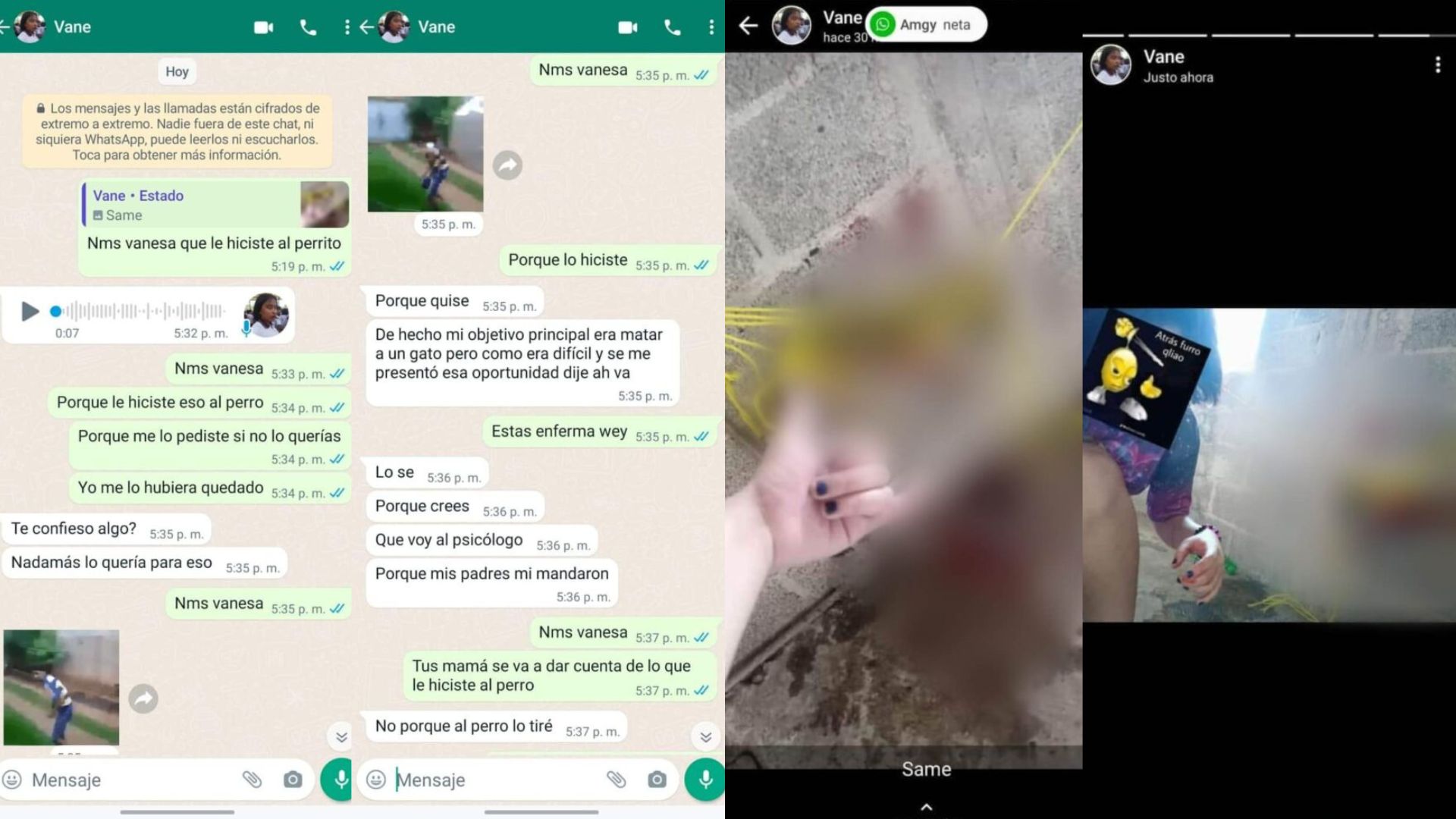 La joven de 15 años habría confesado el crimen en una conversación de Whatsapp, además de que subió las fotografías del perrito a sus redes sociales.
(Captura de pantalla Twitter @MelissaEyh)