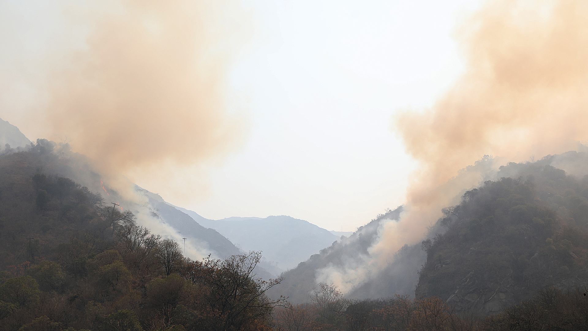 Los incendios forestales causan un gran daño ecológico sobre la flora, la fauna, los recursos hídricos y los suelos. Además, devastan el paisaje, daño especialmente significativo para las zonas turísticas.