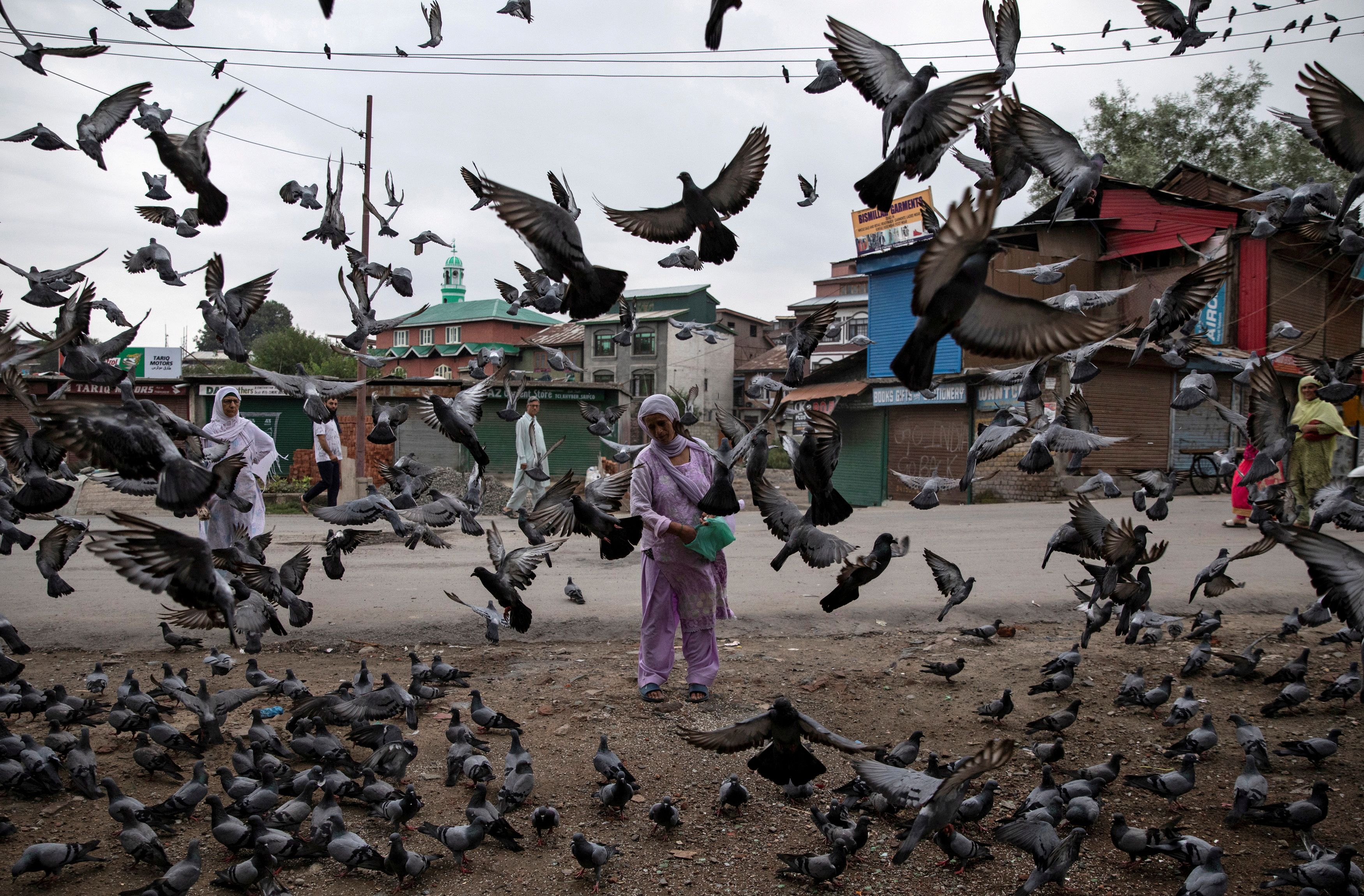 Una mujer de Cachemira alimenta a las palomas en una calle durante las restricciones tras la eliminación del estatus constitucional especial para Cachemira por parte del gobierno, en Srinagar, el 11 de agosto de 2019.