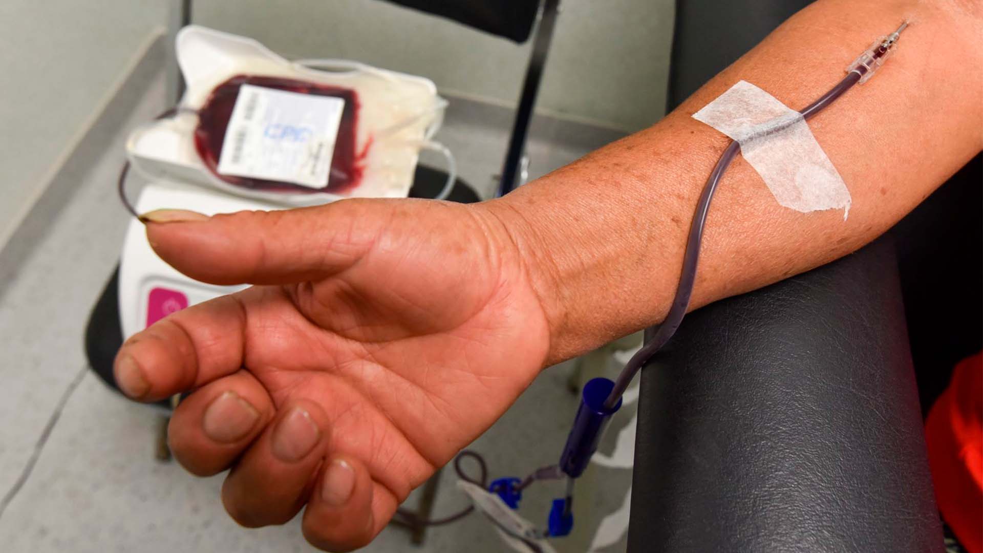 Cuáles son los requisitos para donar sangre en Ciudad de México y en dónde se puede hacer