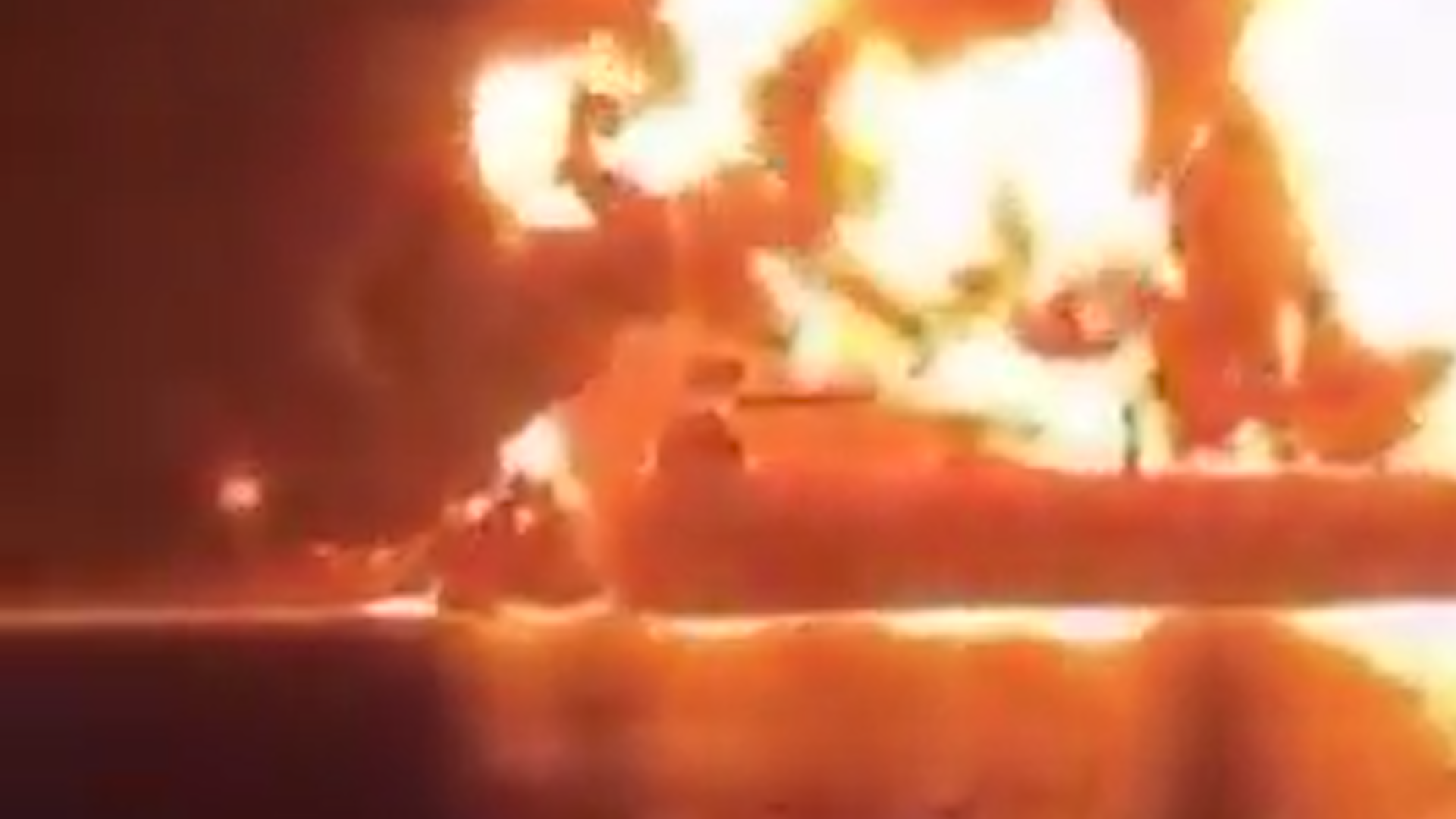 Descubren un mecanismo sensorial que permite a los mosquitos detectar repelentes naturales