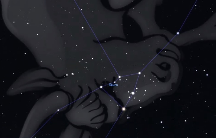 Signo Tauro (Foto: Comité Nacional Noche de las Estrellas/Red de Planetarios Quintana Roo)