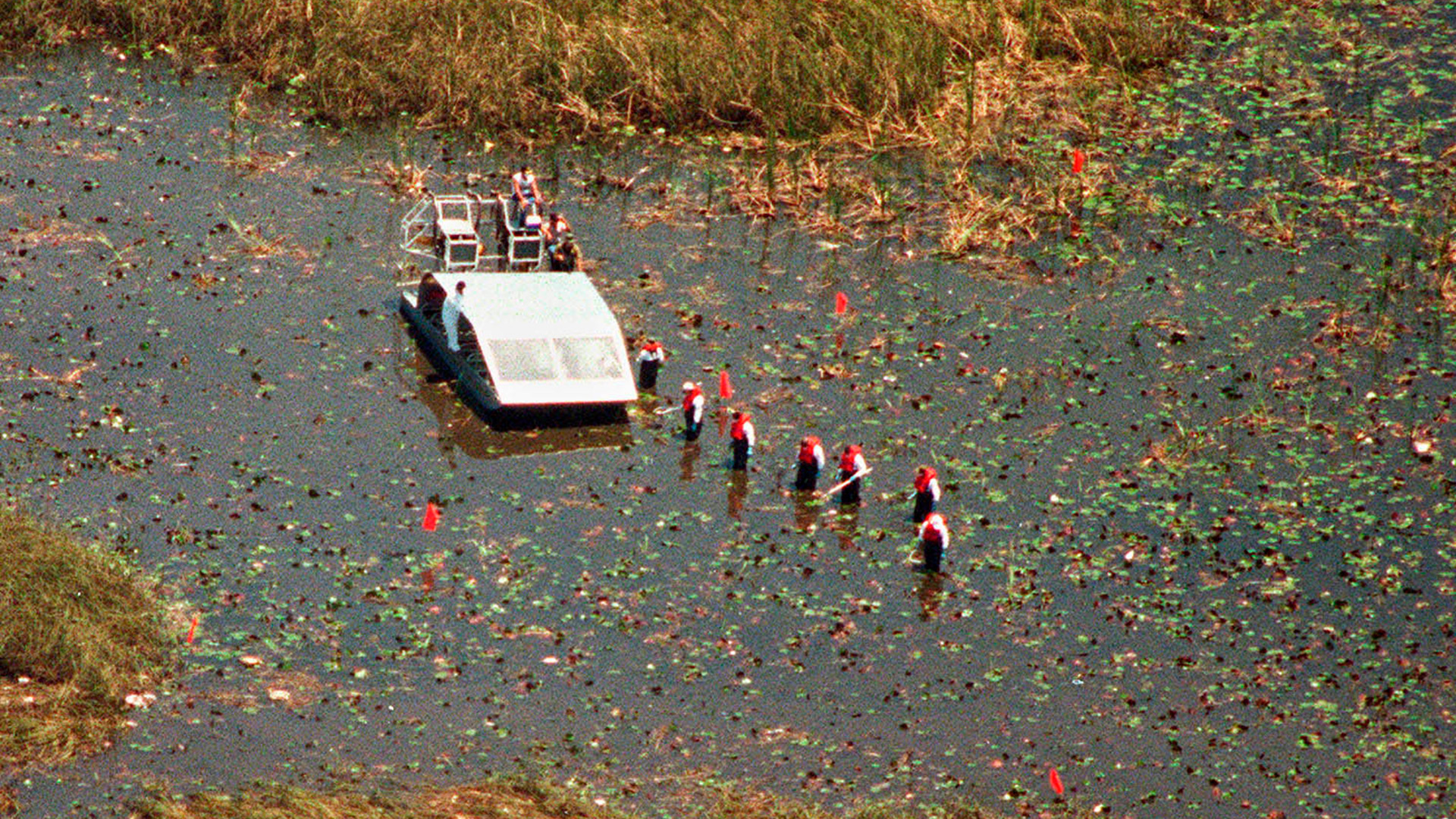 Personal de las fuerzas de seguridad estadounidenses trastrillan la zona del accidente, en los pantanos de Everglades. (Photo By Miami Herald/Getty Images)